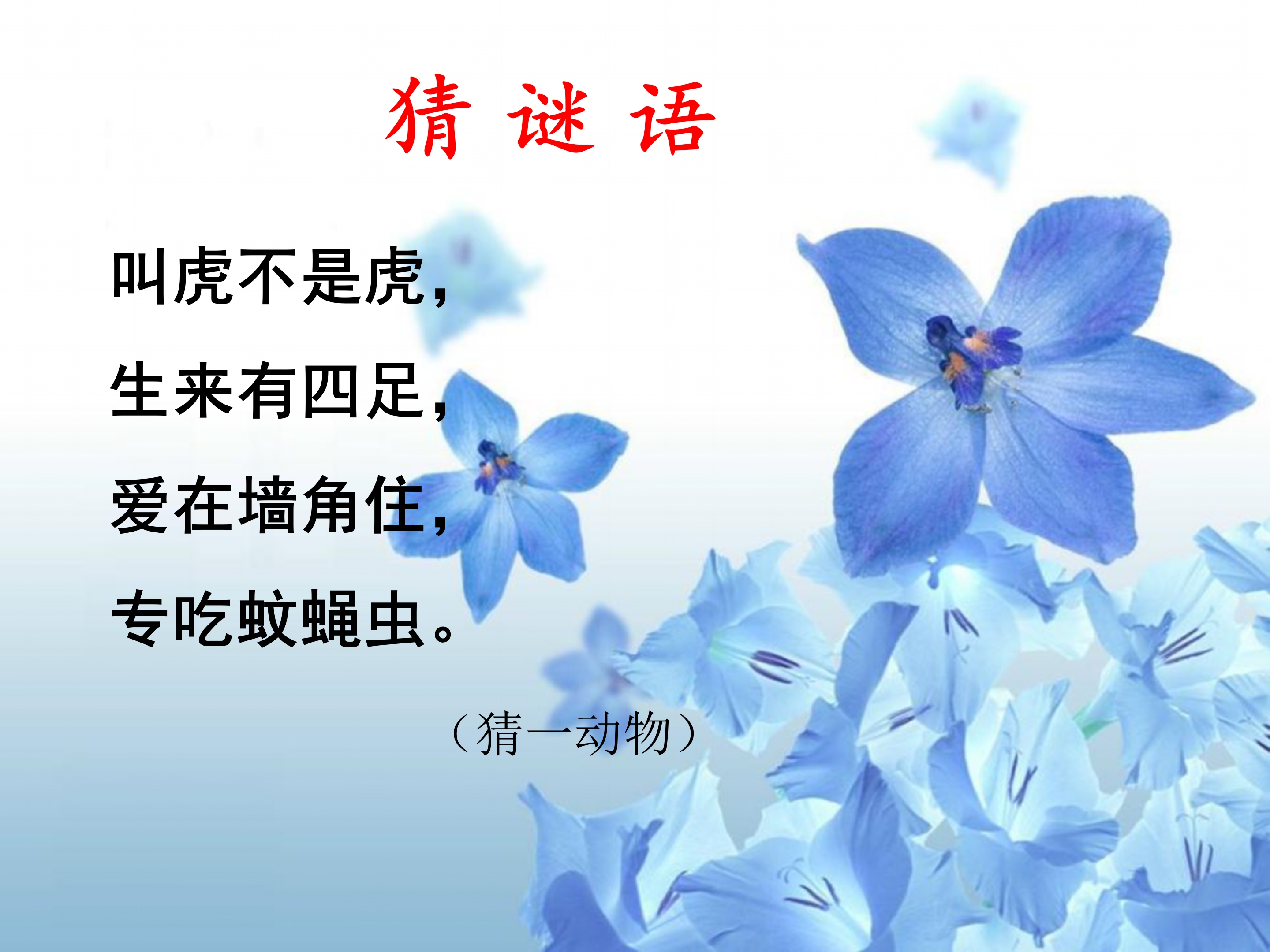 《小壁虎借尾巴》课件PPT模板