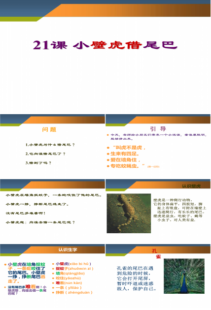 语文课件《小壁虎借尾巴》PPT下载