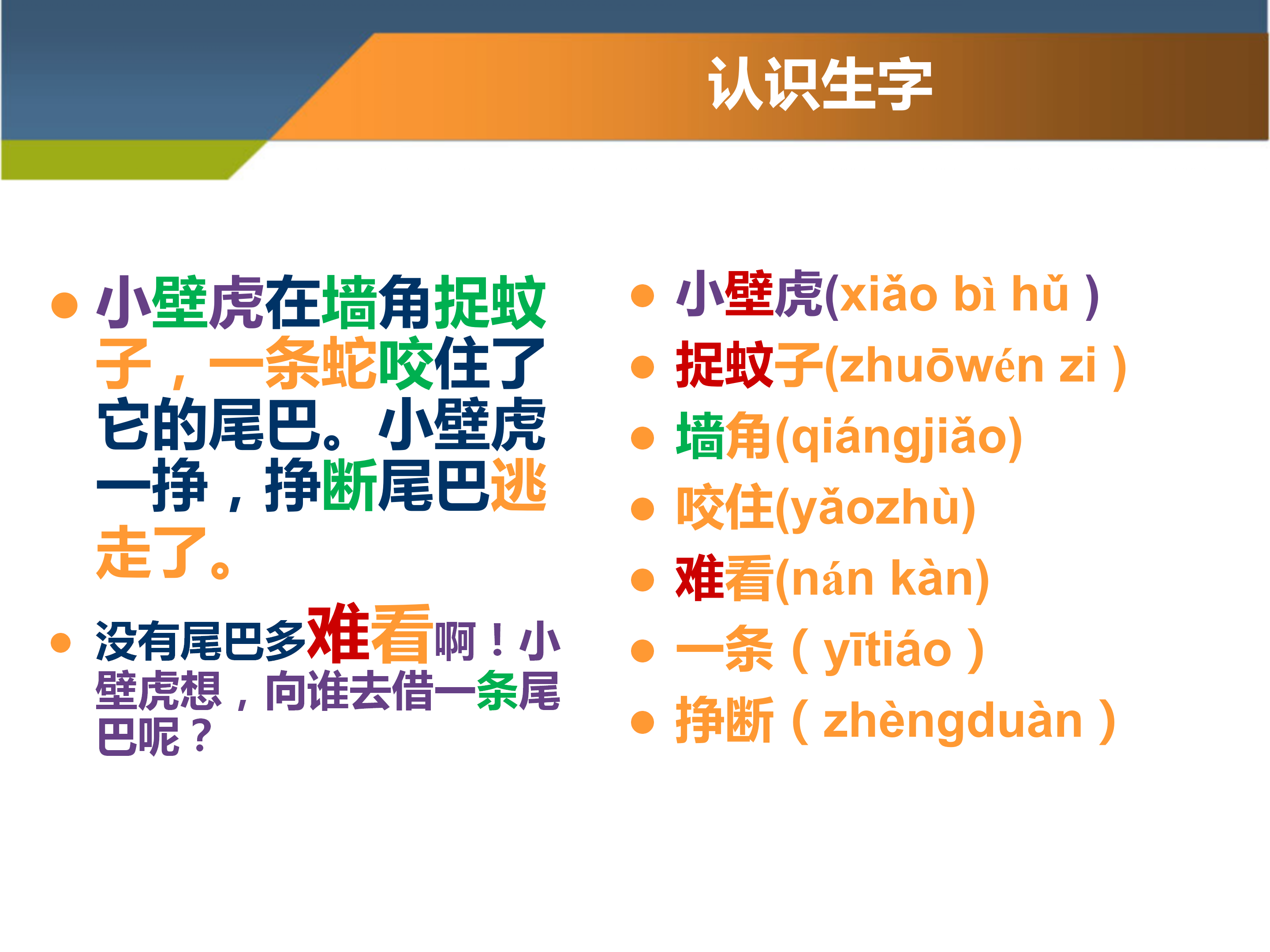 语文课件《小壁虎借尾巴》PPT下载
