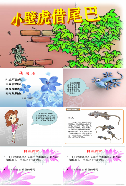 《小壁虎借尾巴》课件PPT模板