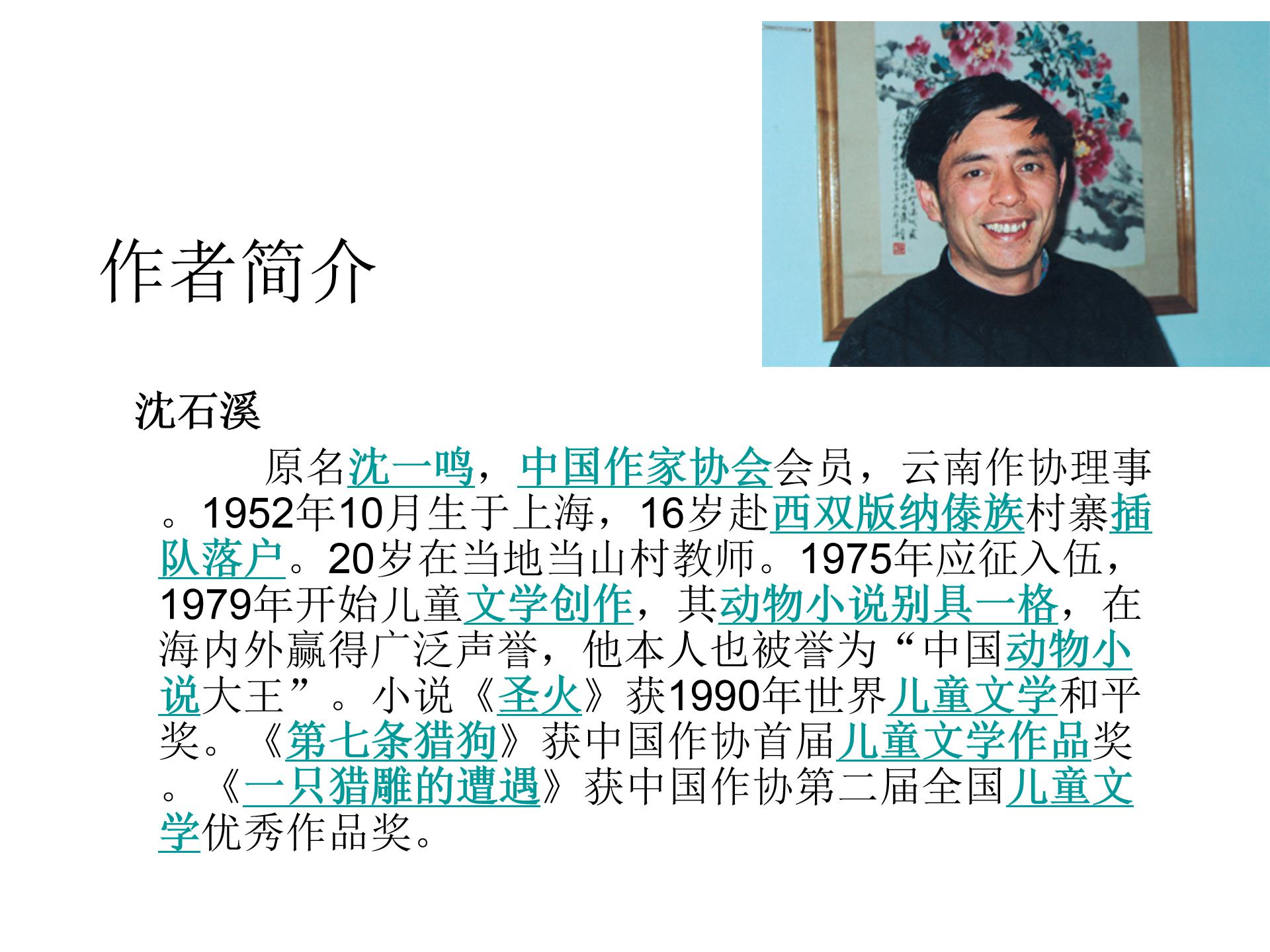 最后一头战象ppt模板