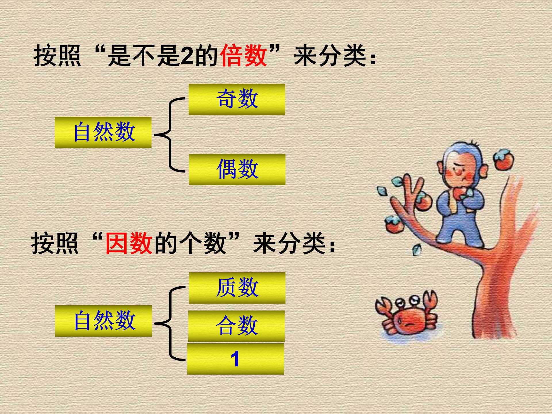 质数和合数ppt模板