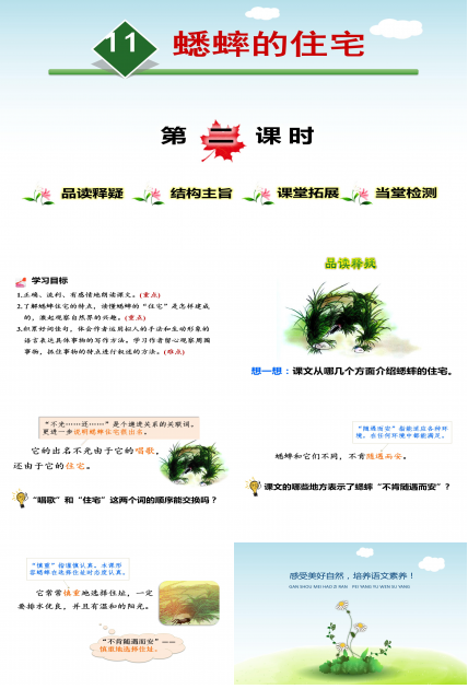 蟋蟀的住宅2ppt模板
