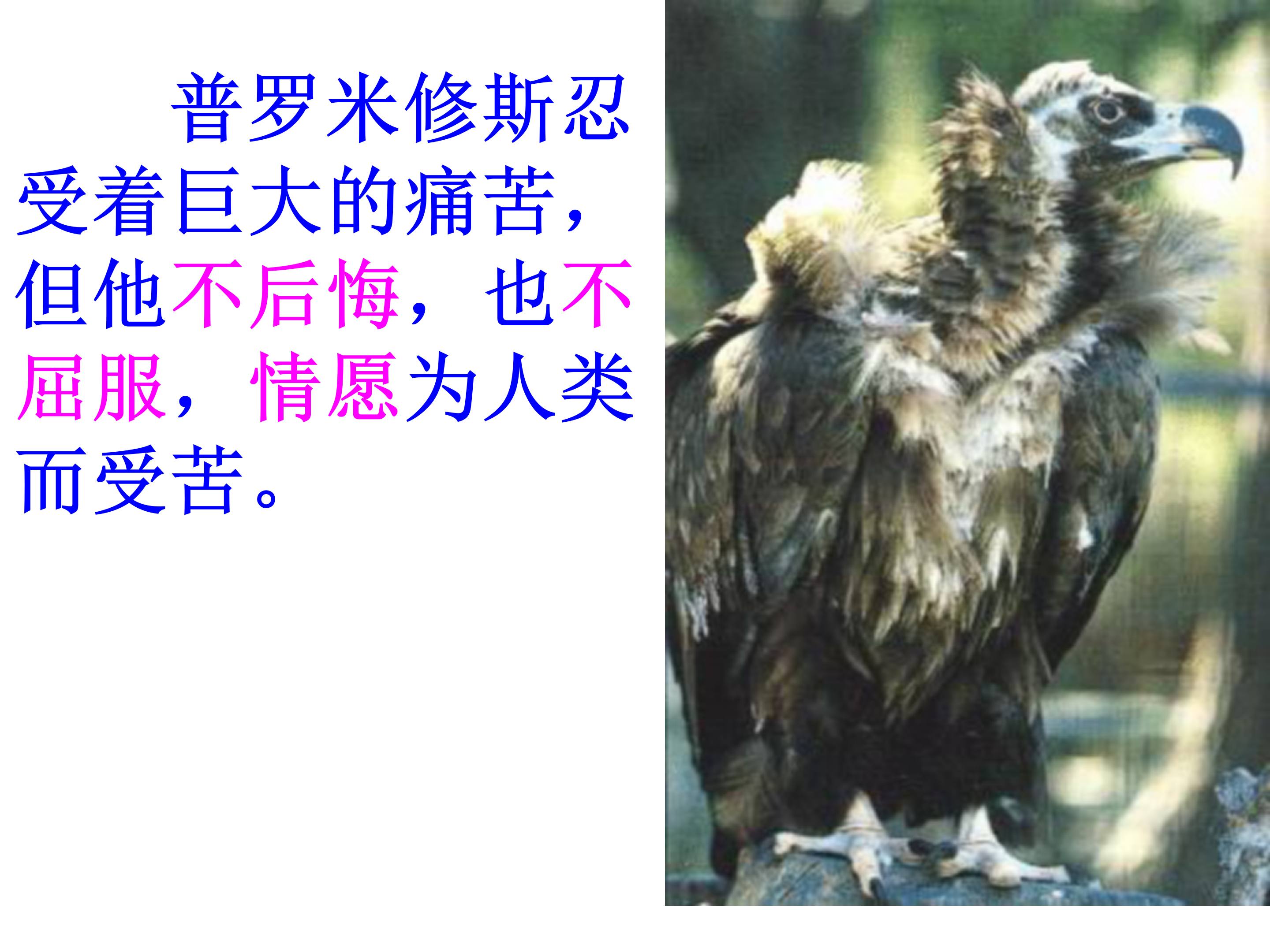 14《普罗米修斯盗火》PPT课件