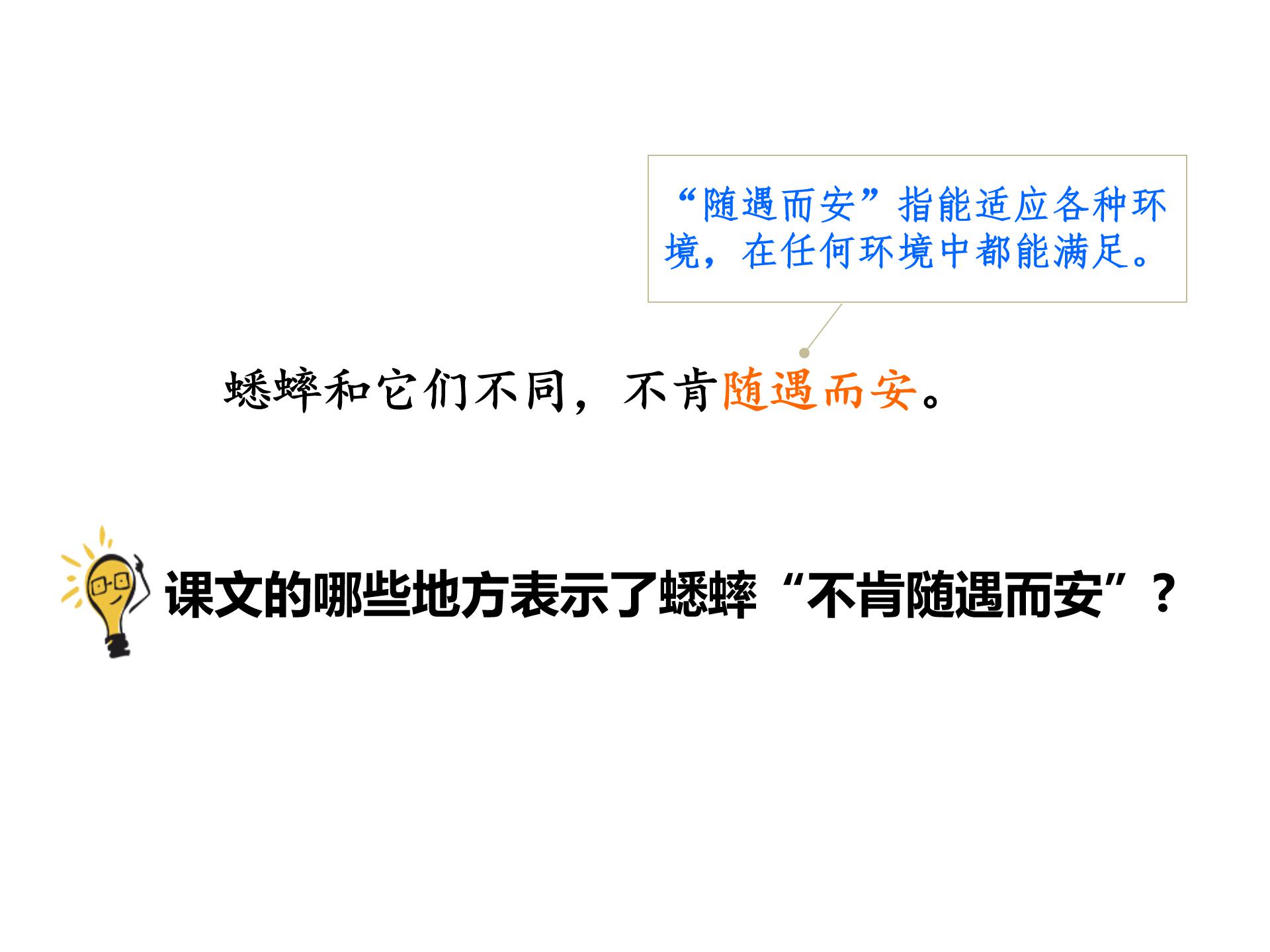 蟋蟀的住宅2ppt模板