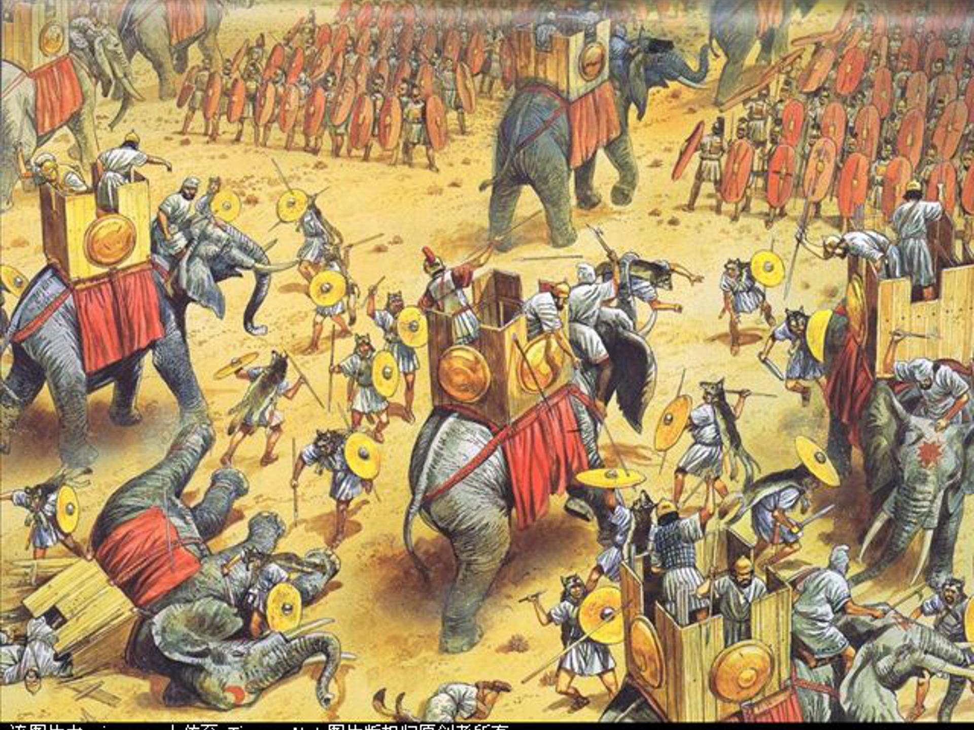 最后一头战象ppt模板