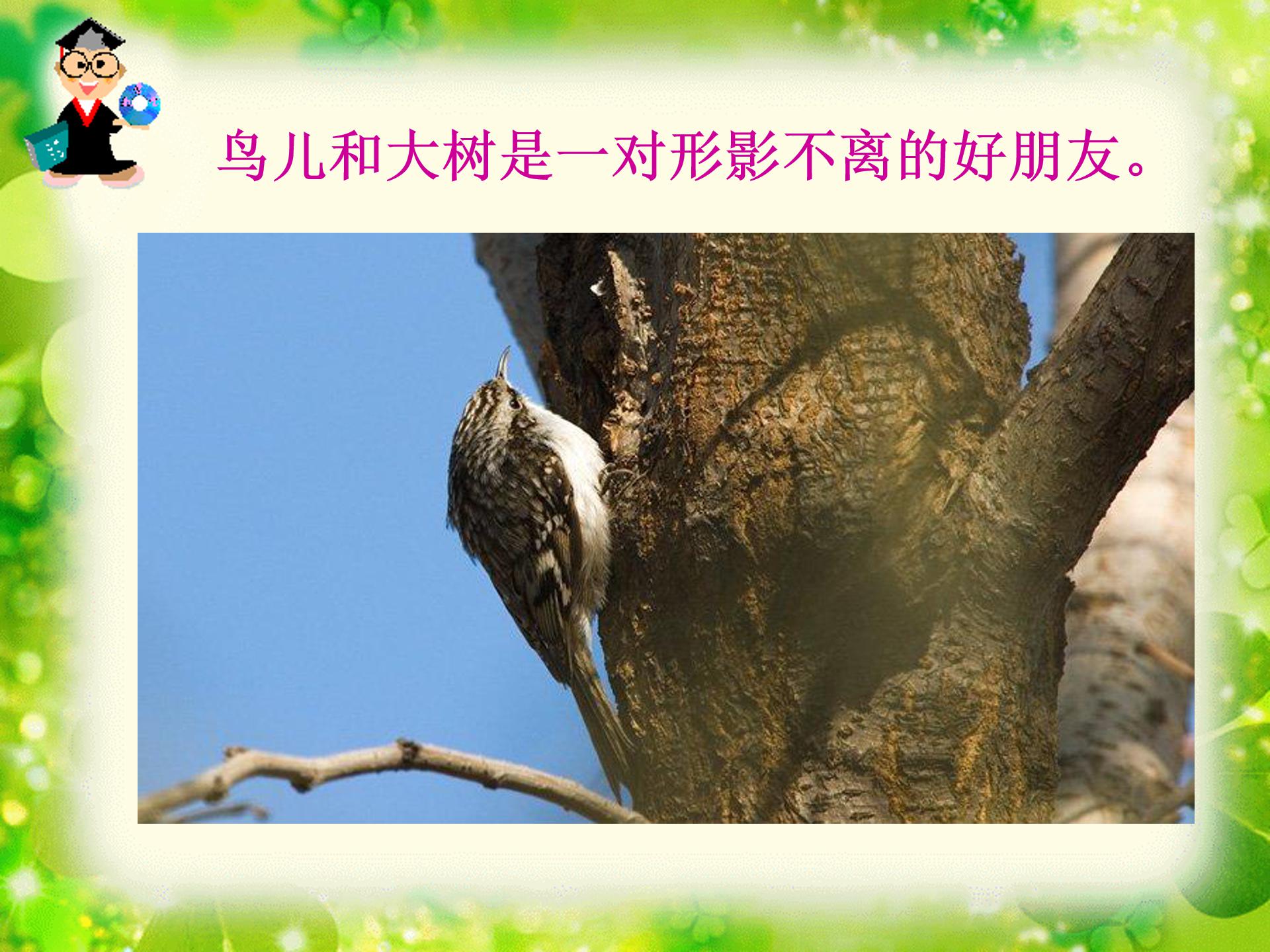 去年的树ppt模板