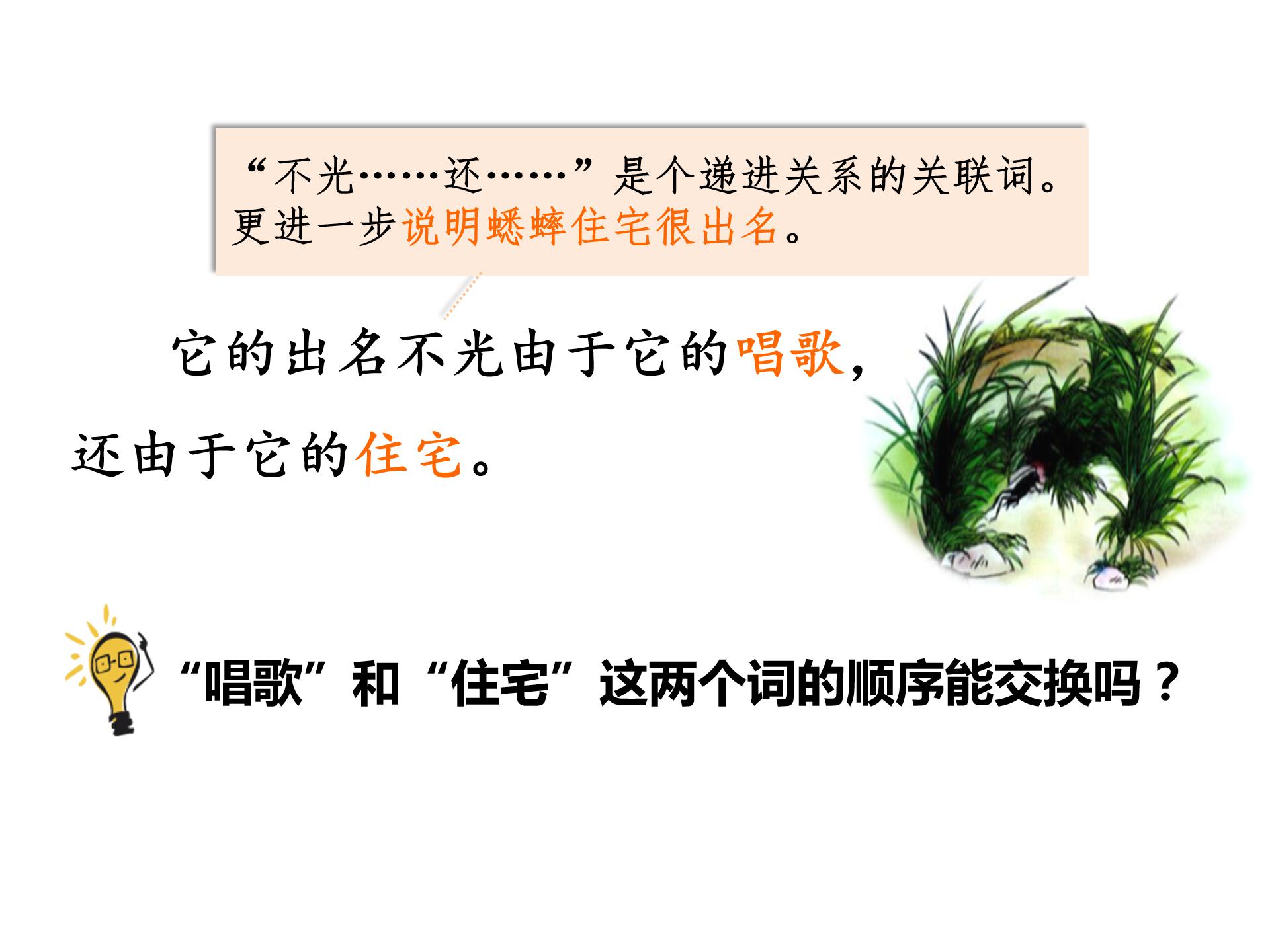 蟋蟀的住宅2ppt模板