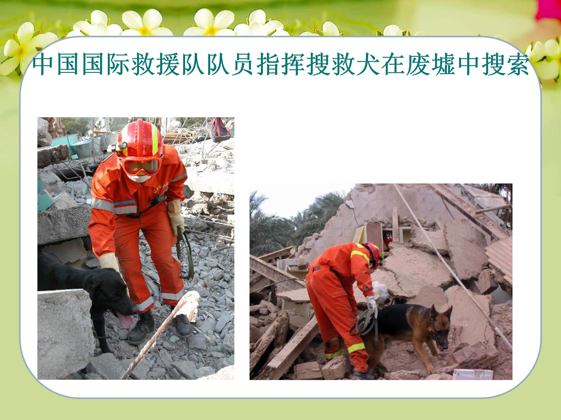 中国国际救援队真棒ppt模板