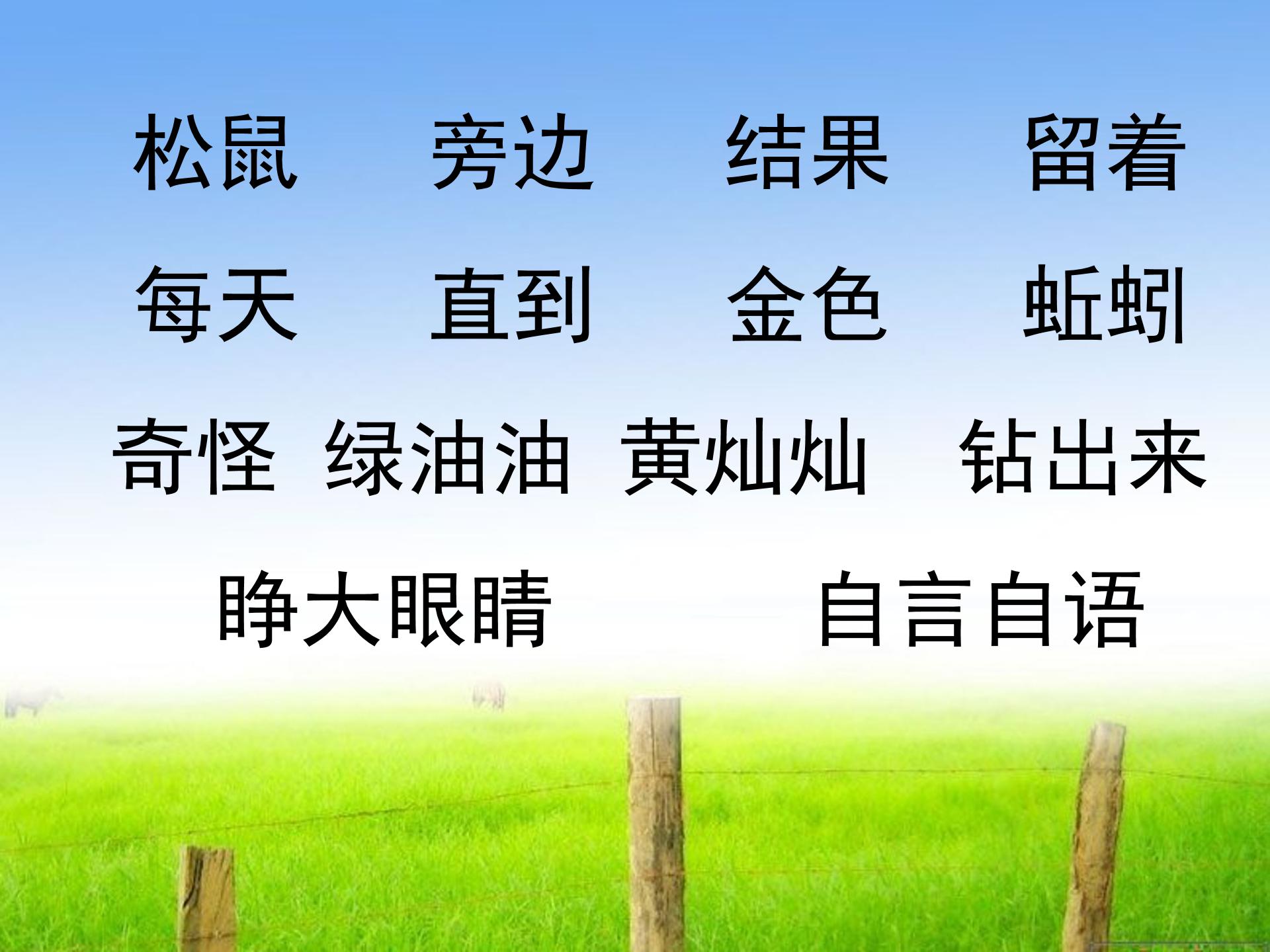 小松鼠找花生ppt课件