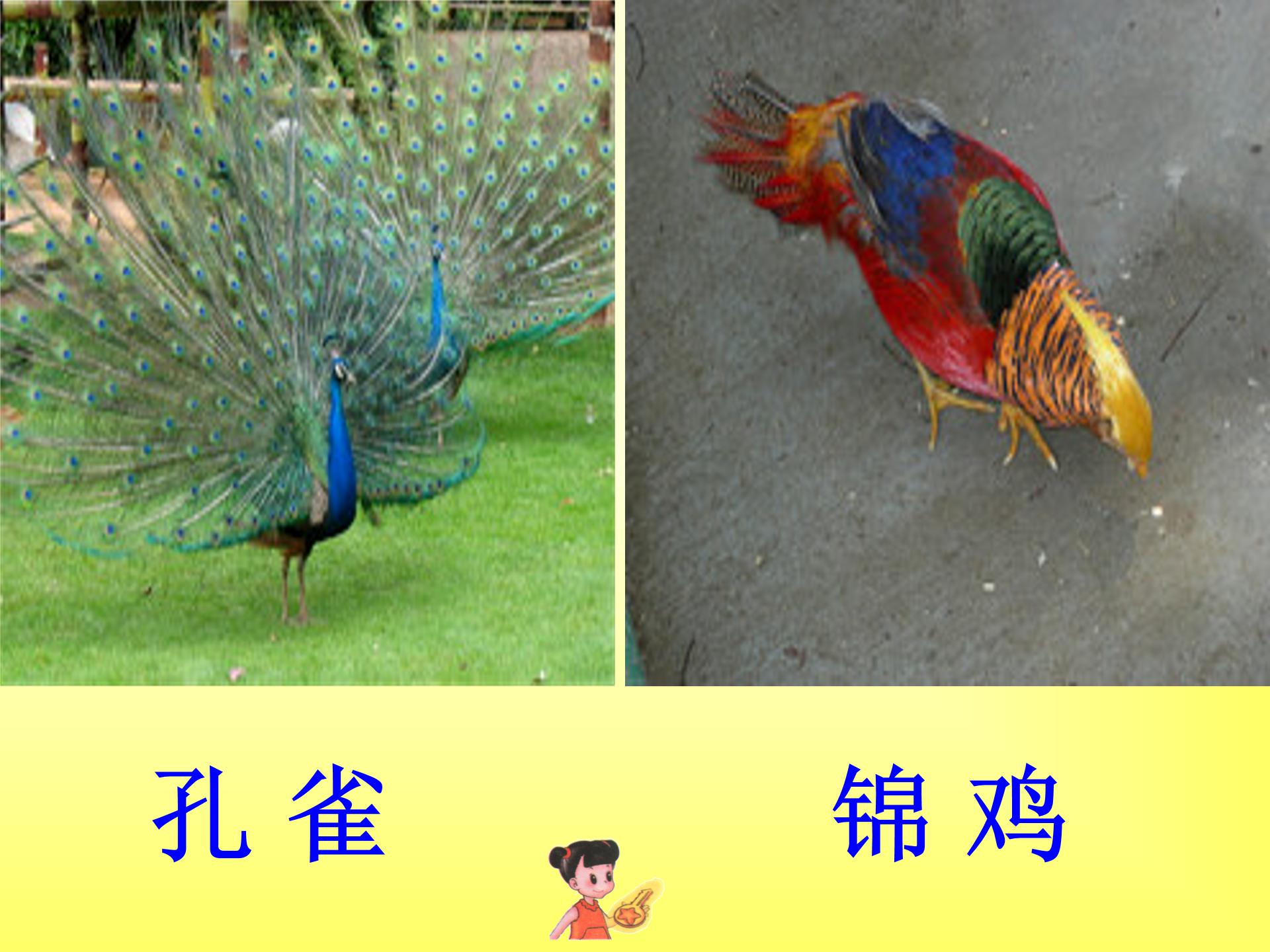 小学语文二年级上册识字7ppt模板