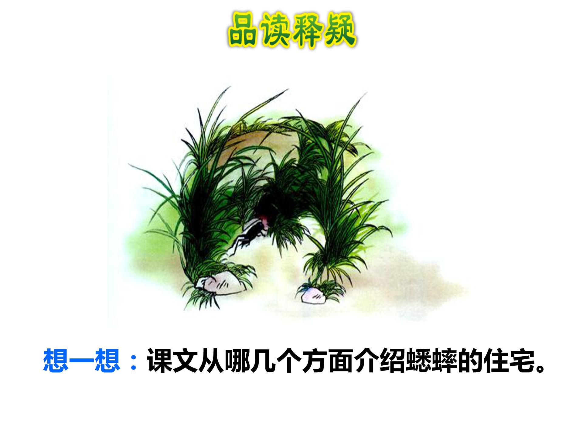 蟋蟀的住宅2ppt模板