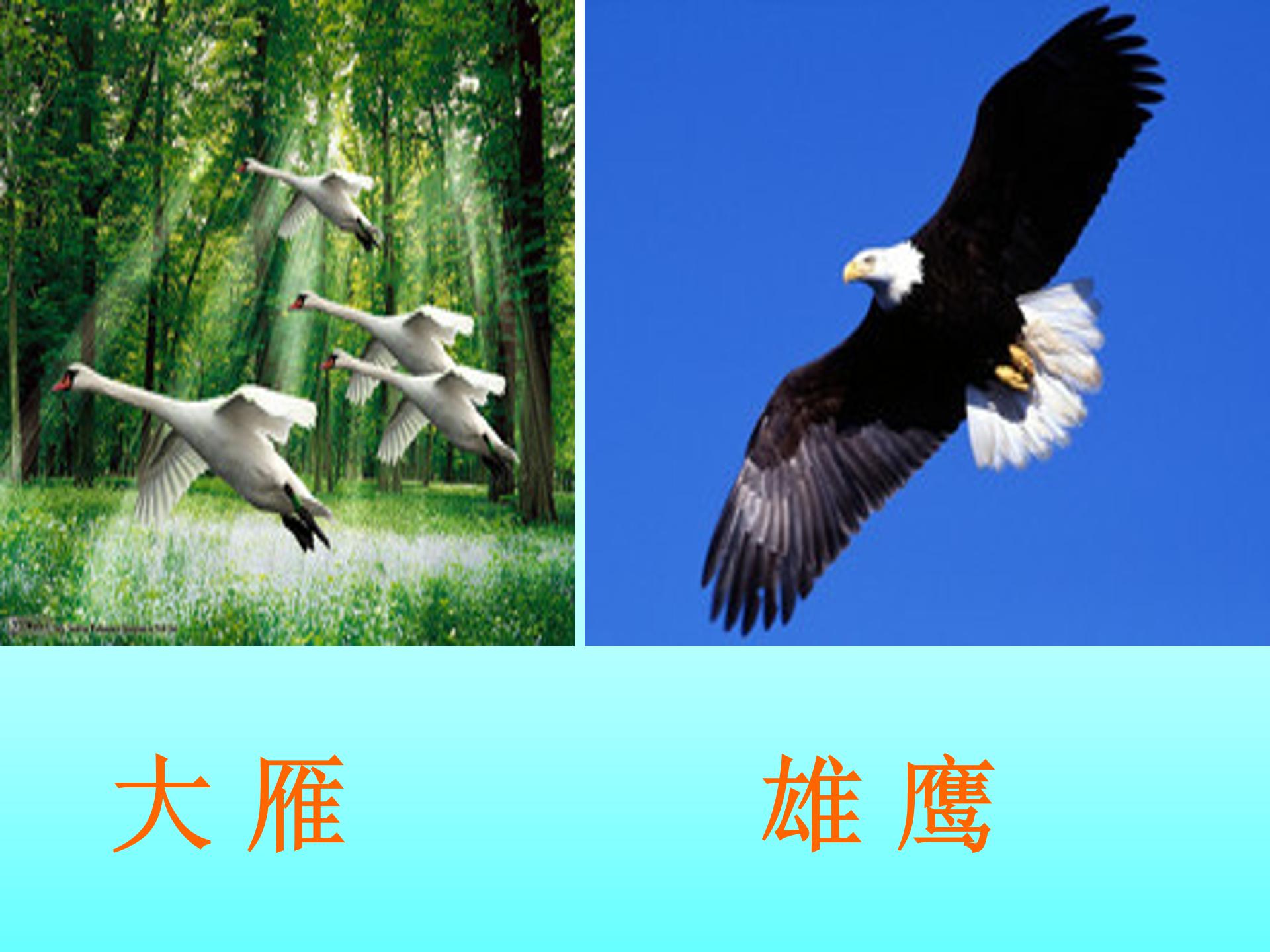 小学语文二年级上册识字7ppt模板