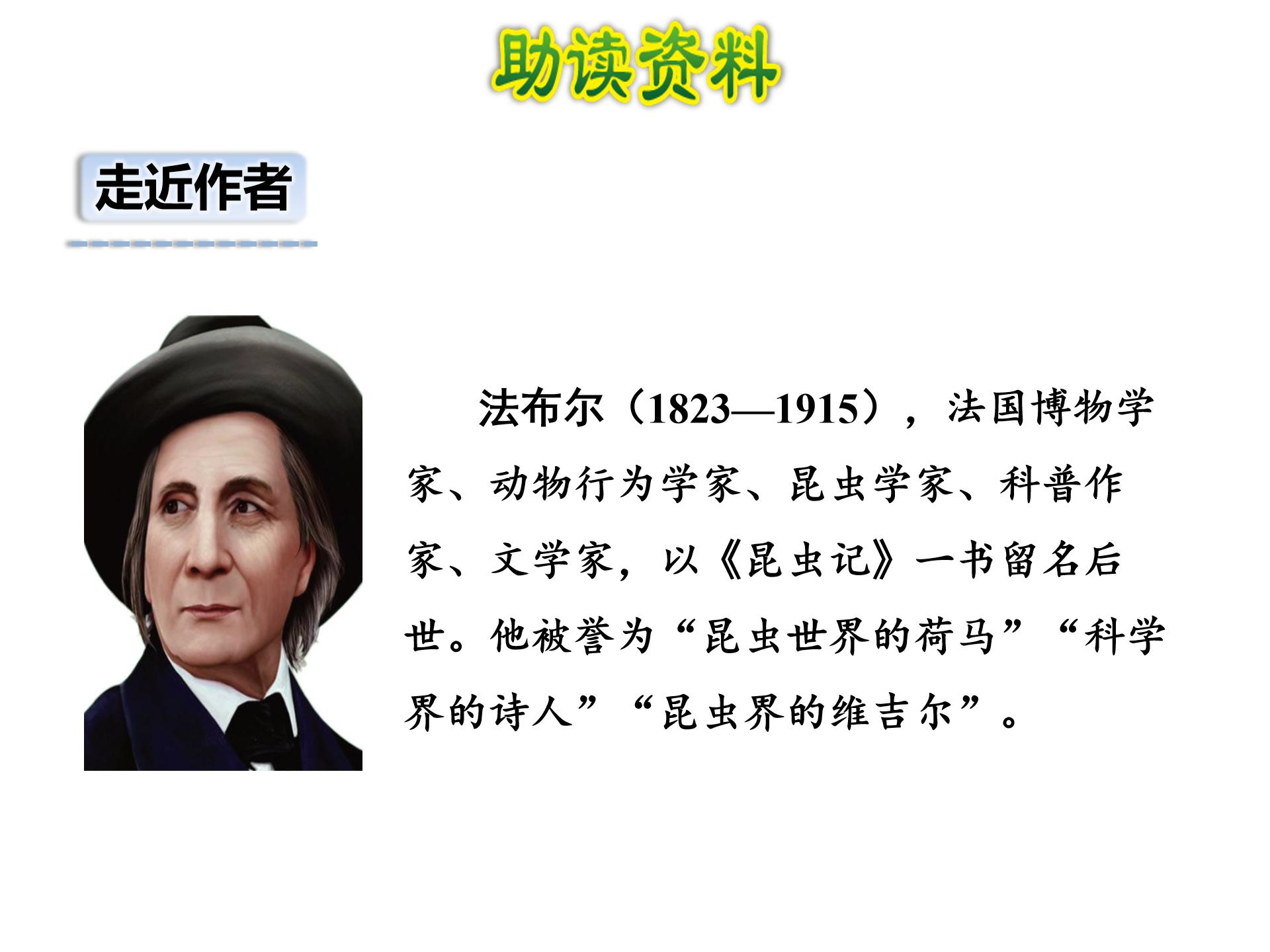 蟋蟀的住宅ppt模板