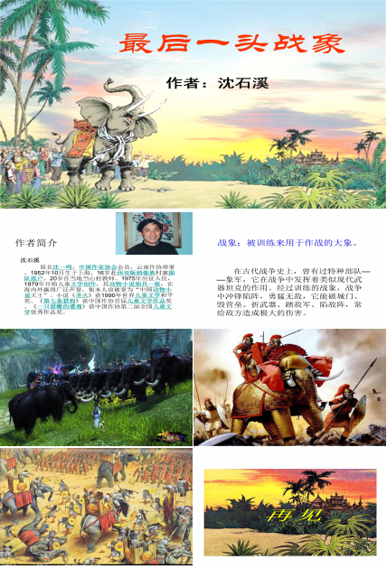 最后一头战象ppt模板