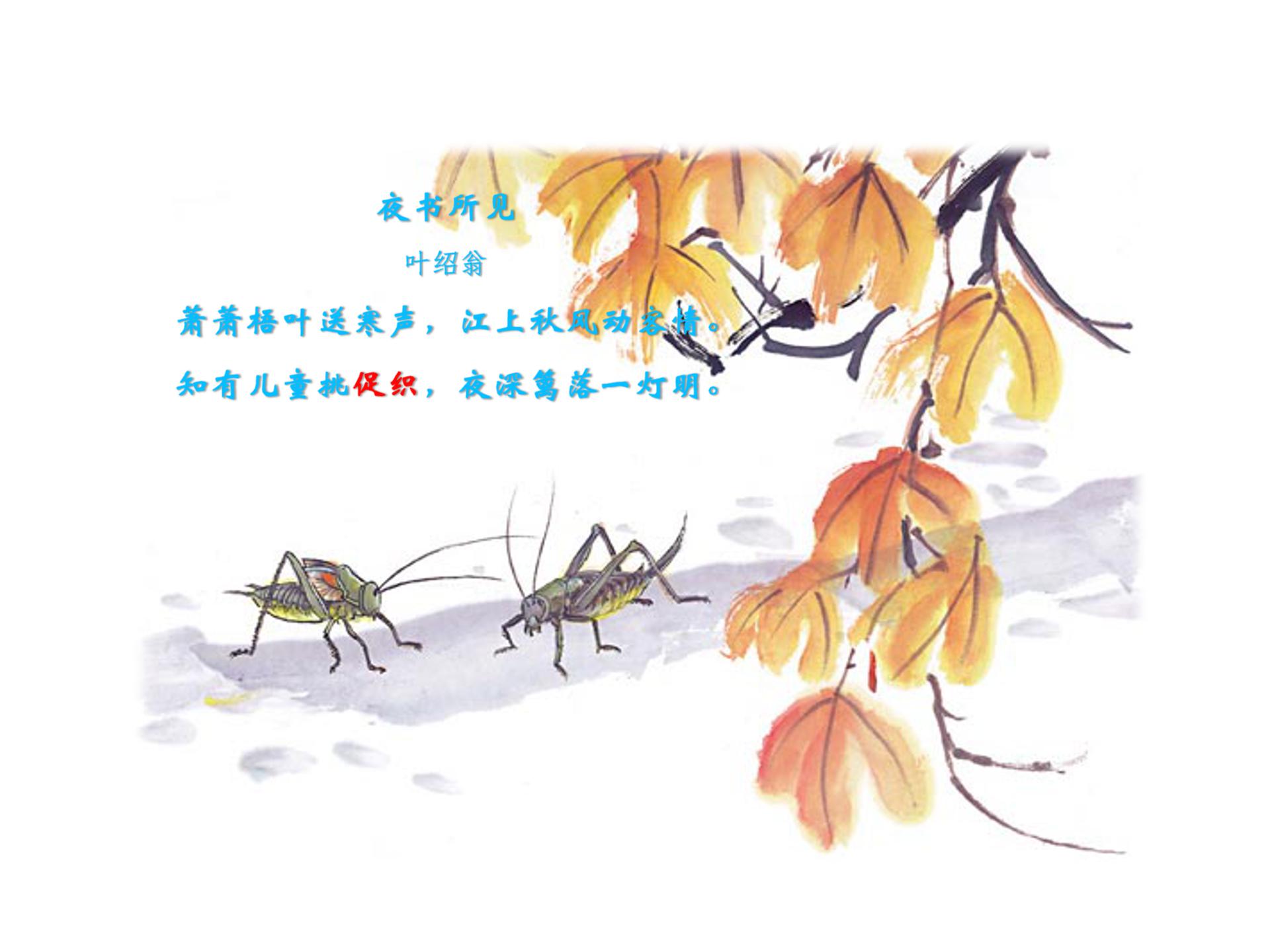 蟋蟀的住宅ppt模板