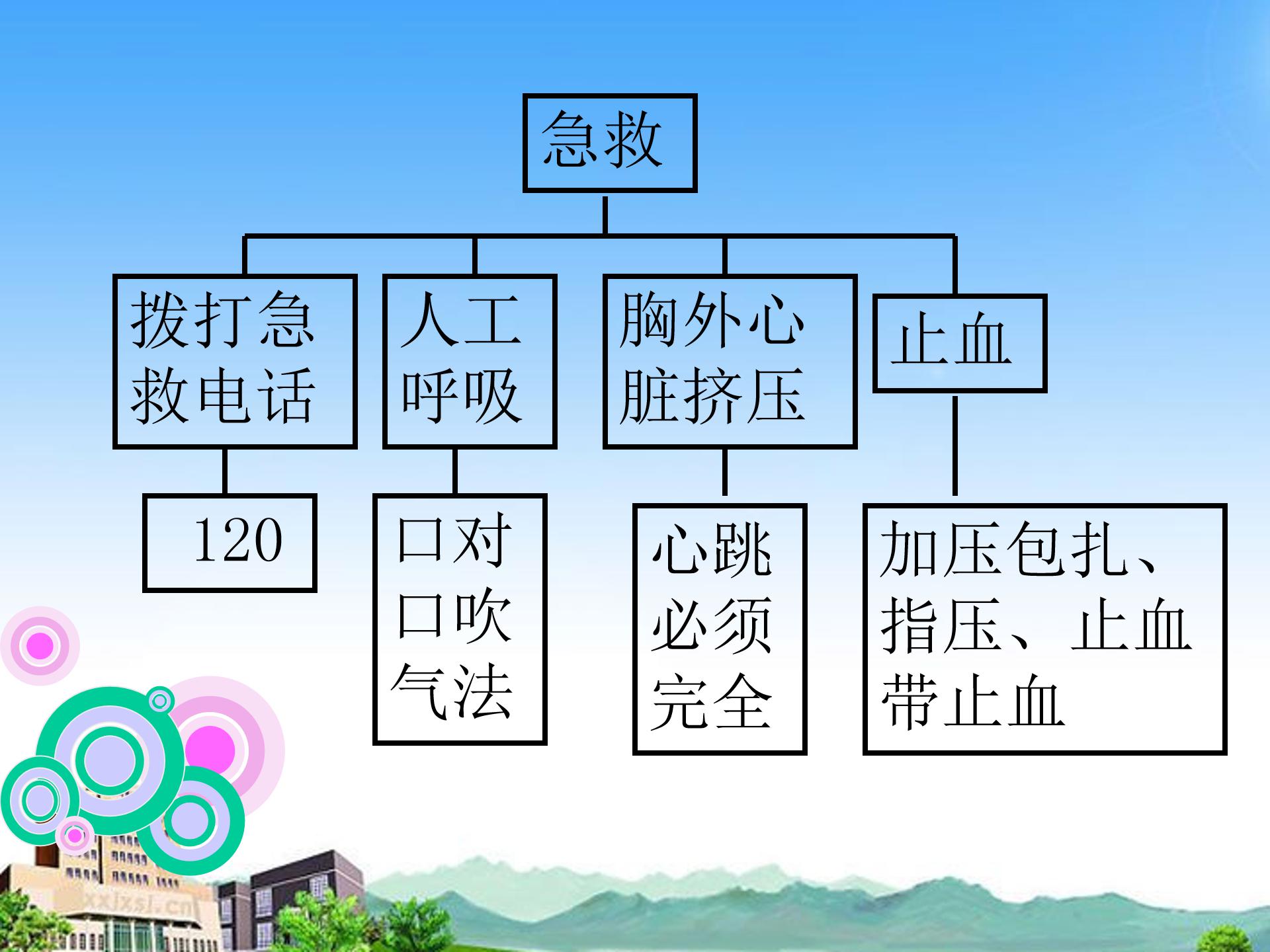 用药和急救ppt模板