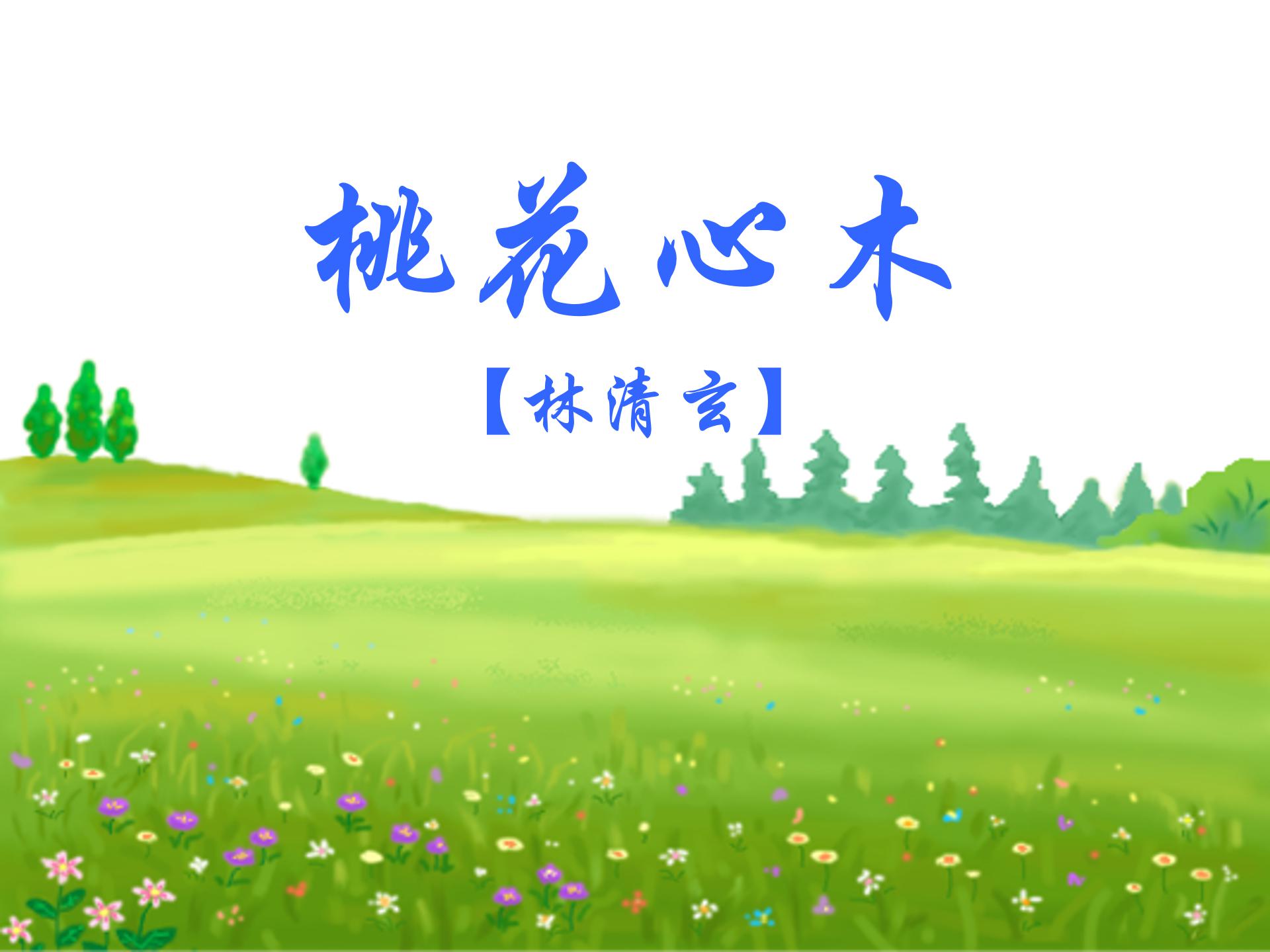 桃花心木ppt模板