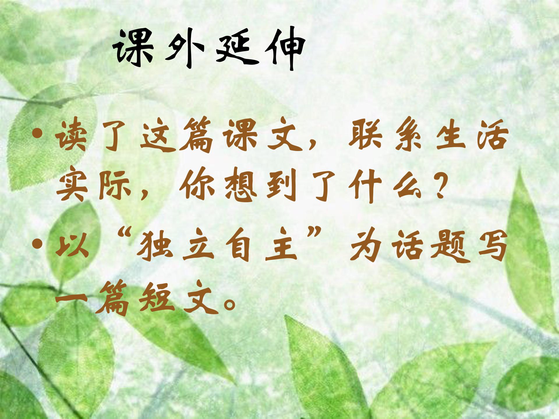 桃花心木ppt模板