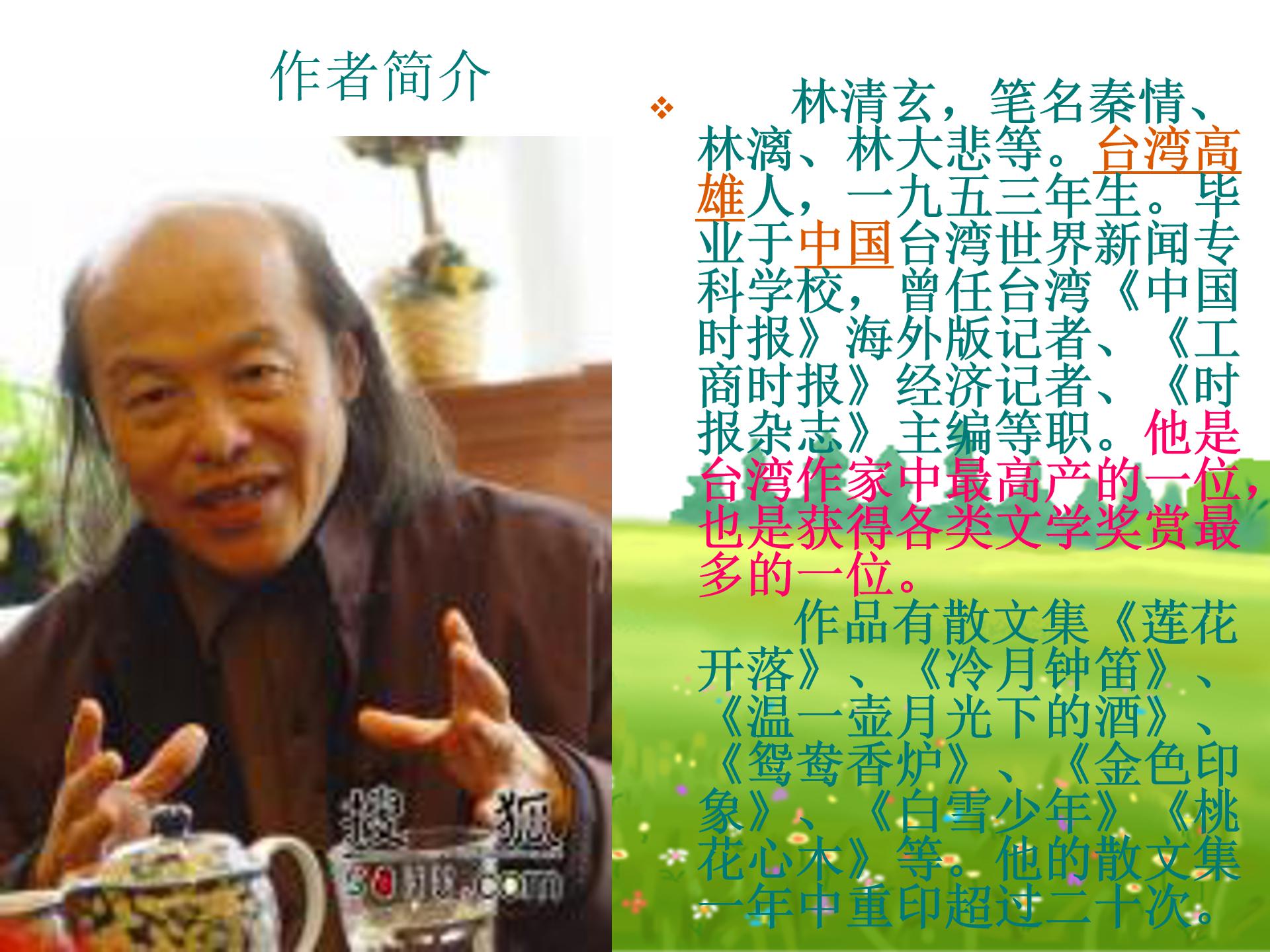 桃花心木ppt模板