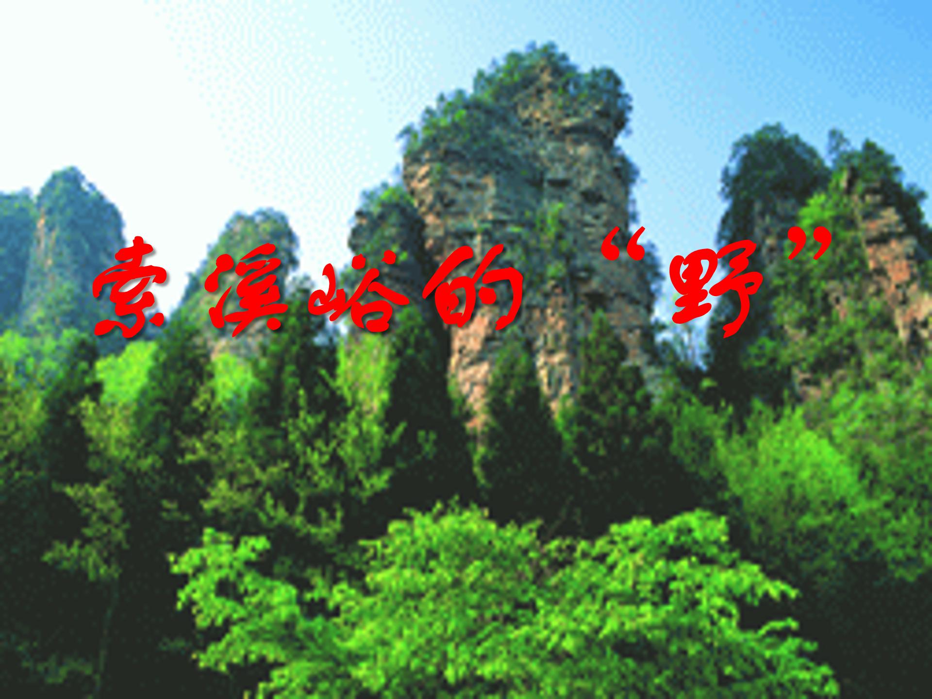 索溪峪的野ppt模板