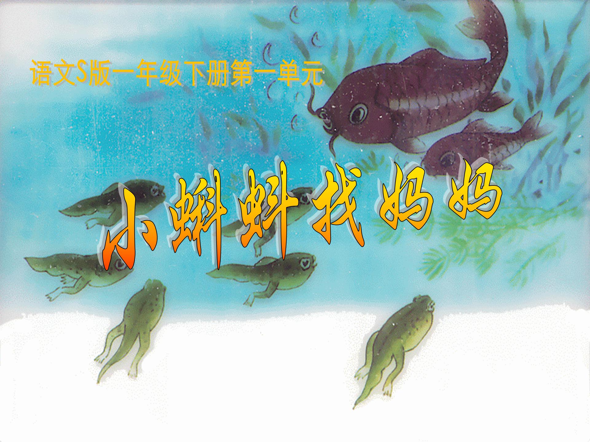 小蝌蚪找妈妈ppt模板