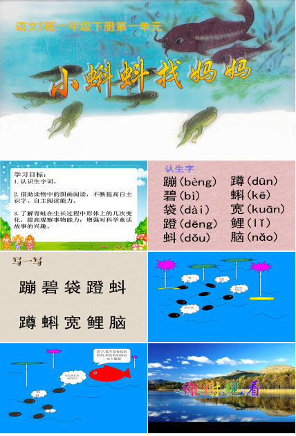 小蝌蚪找妈妈ppt模板