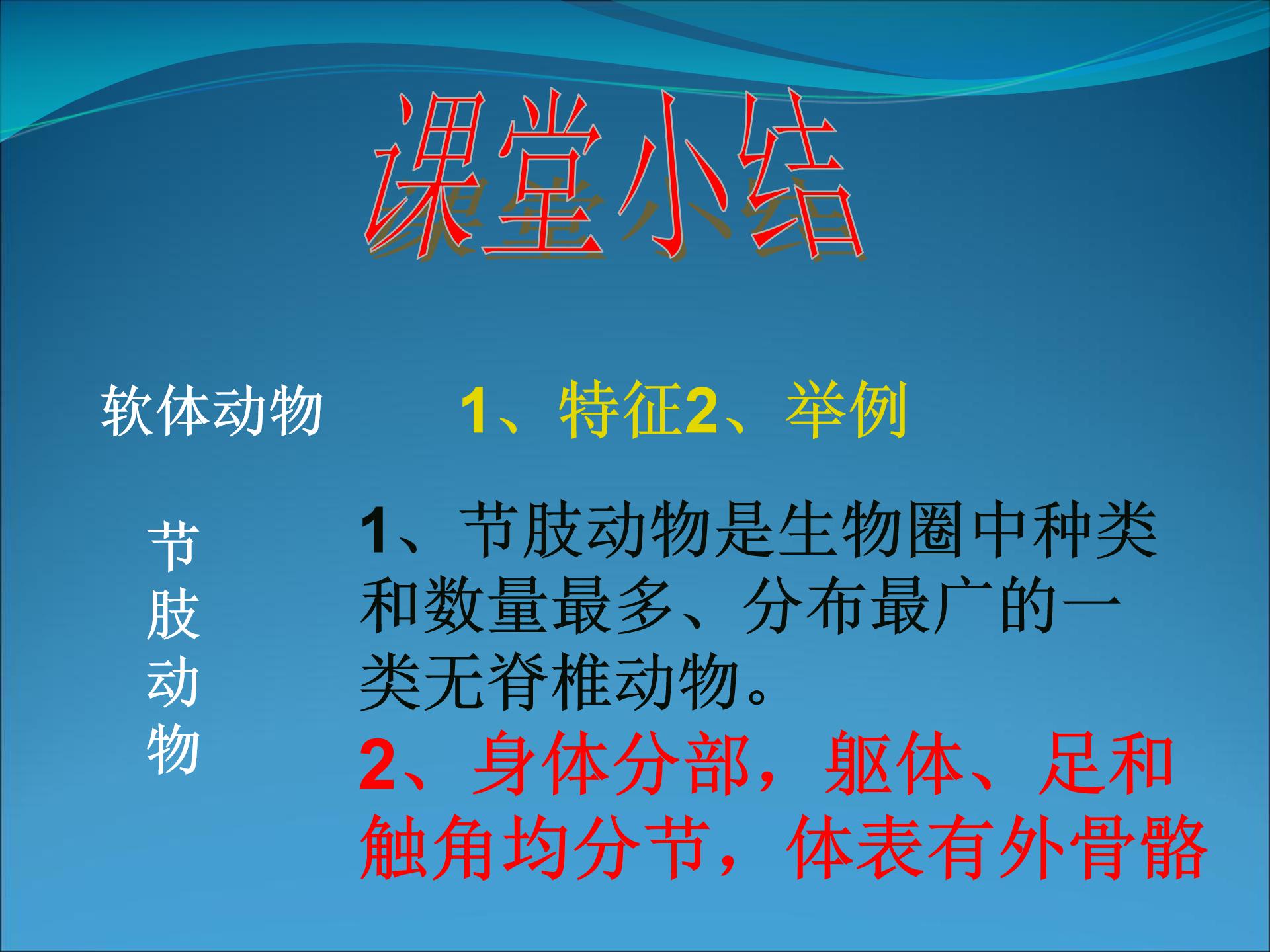 软体动物和节肢动物ppt模板