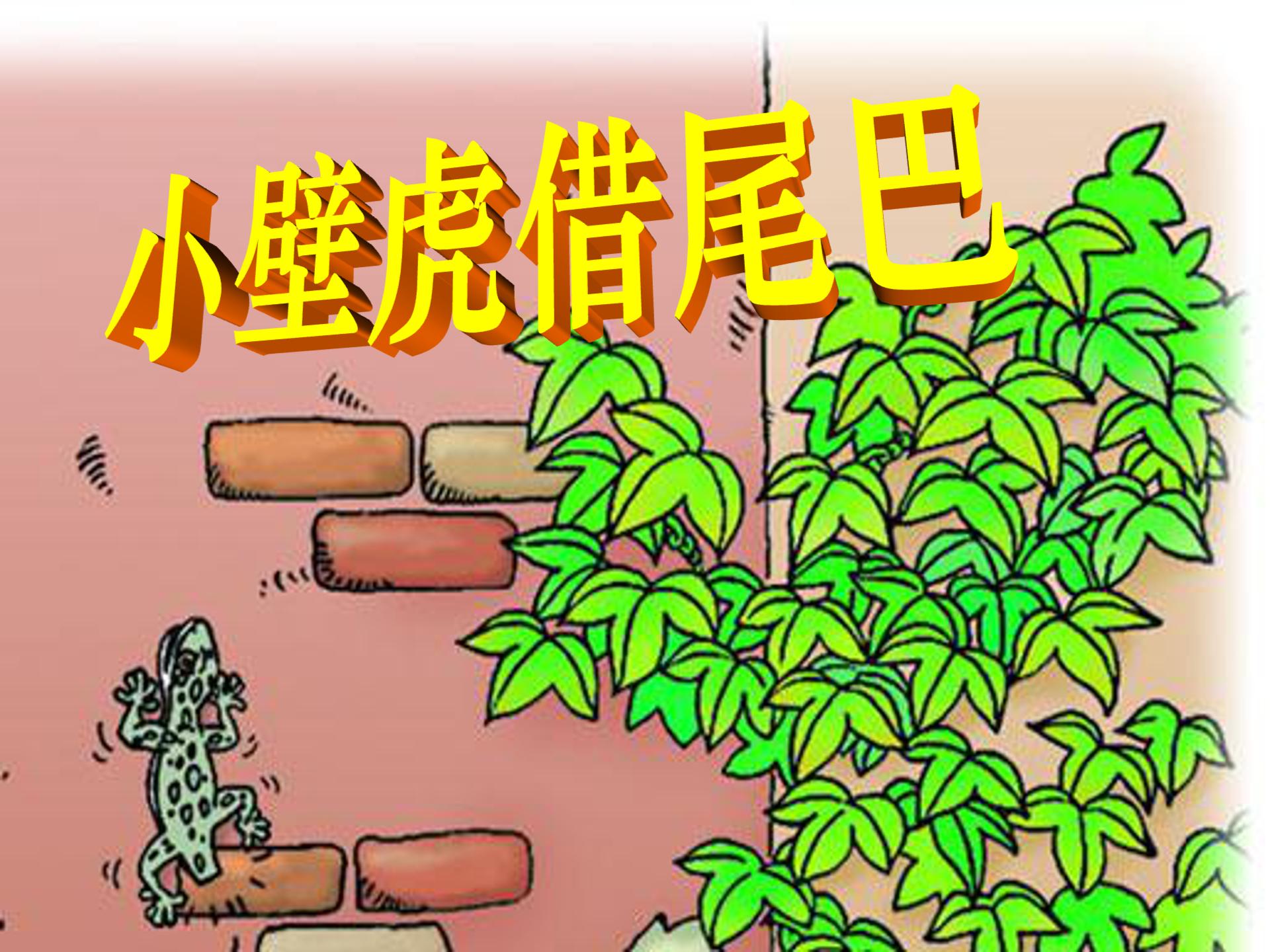 小壁虎借尾巴ppt模板