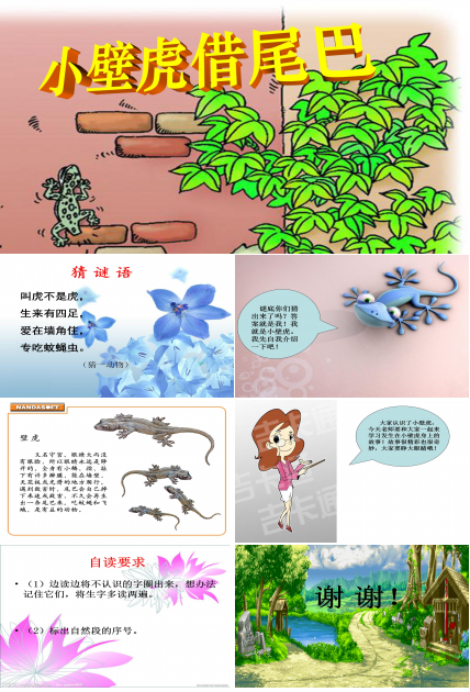 小壁虎借尾巴ppt模板