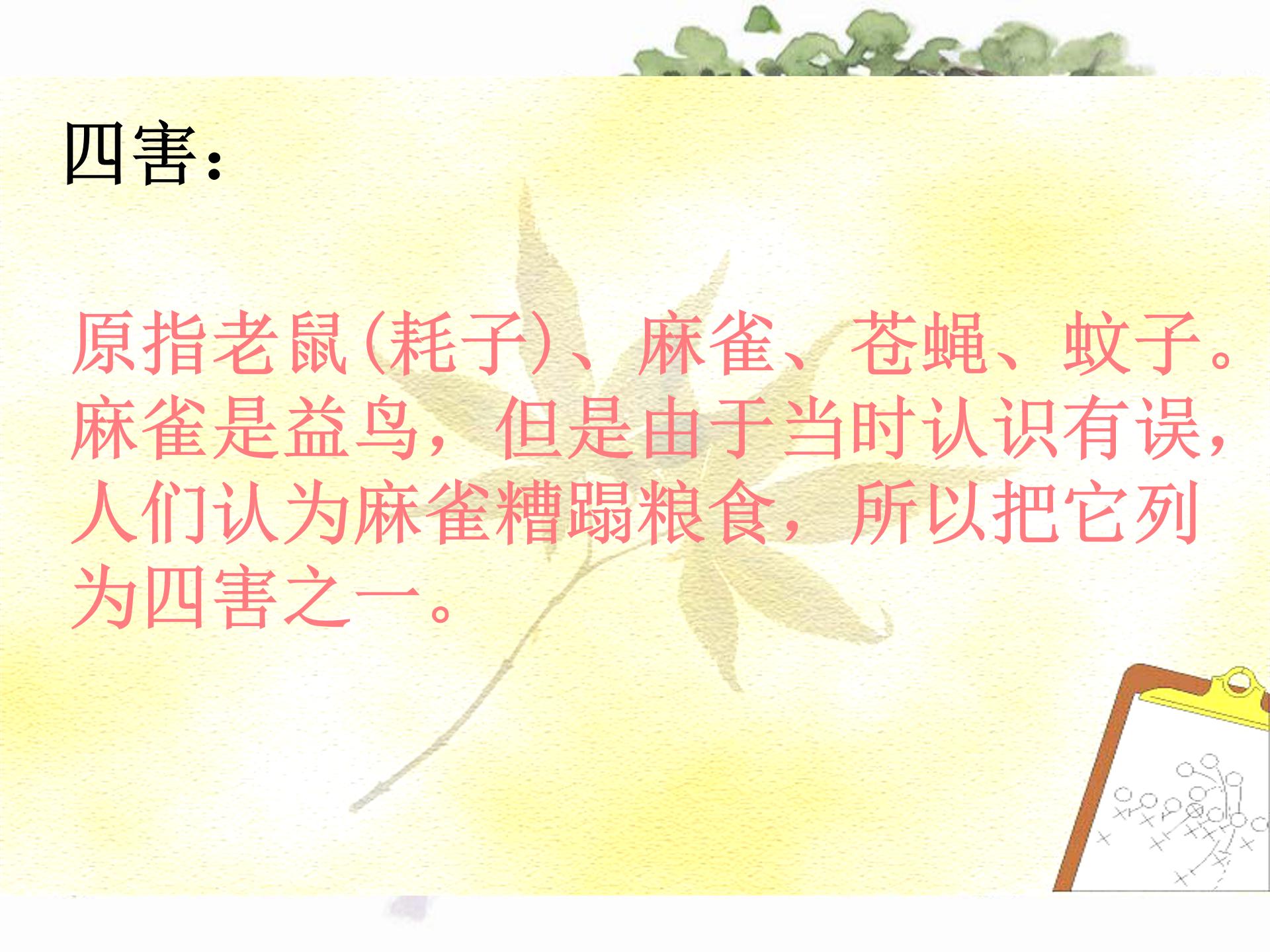 五年级下册数学打电话ppt模板