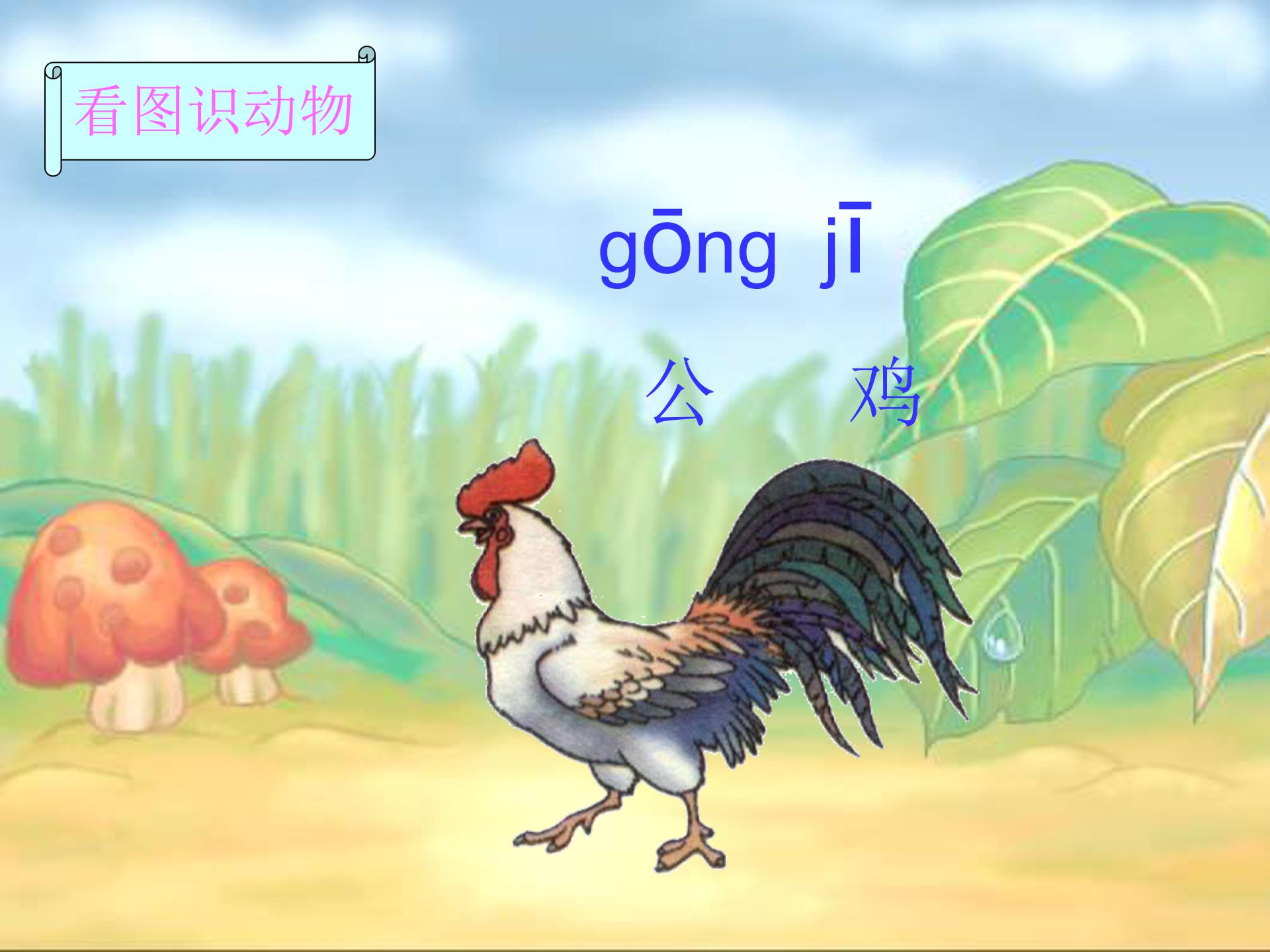 比尾巴公开课ppt模板