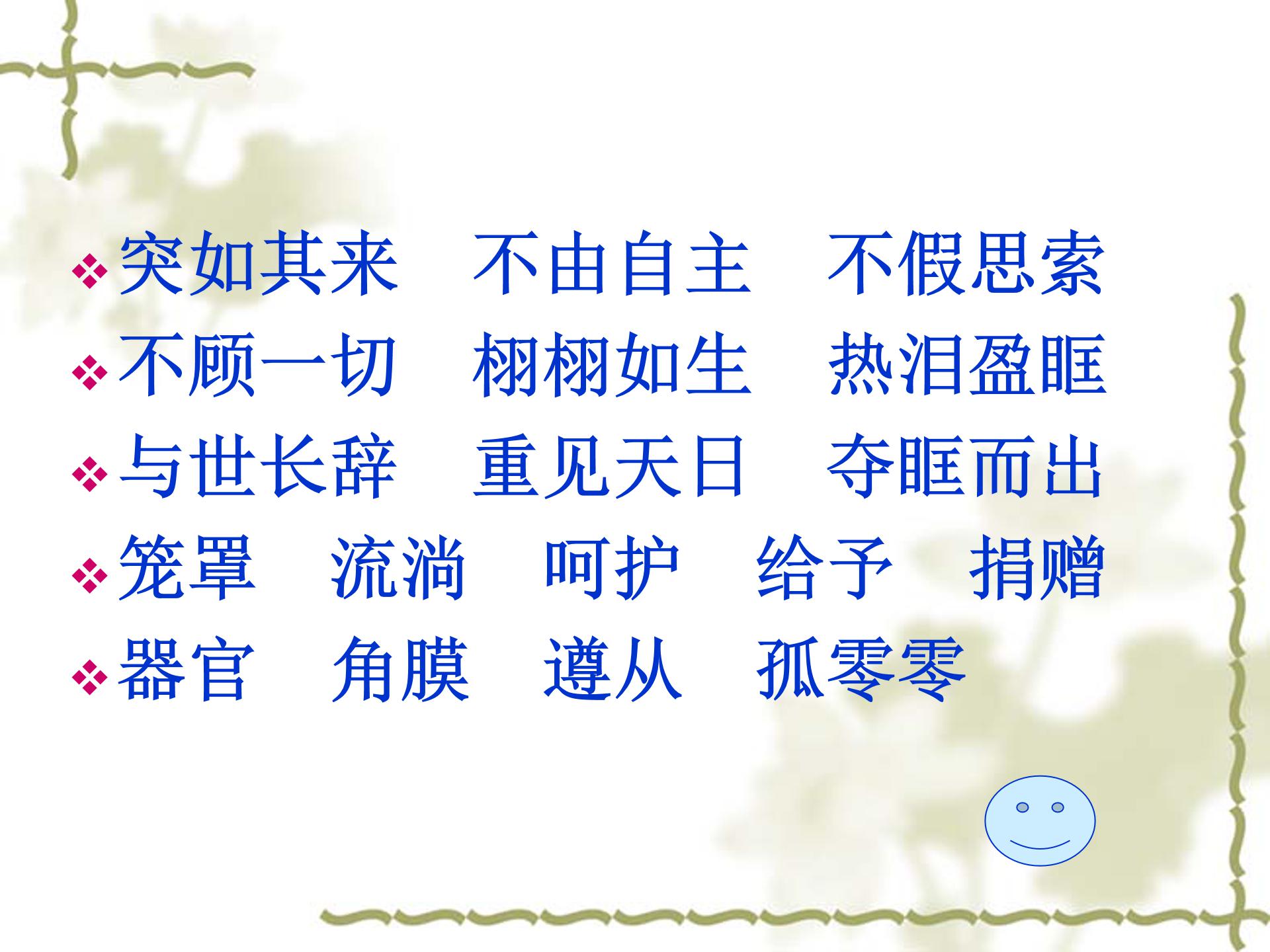 永生的眼睛ppt课件模板