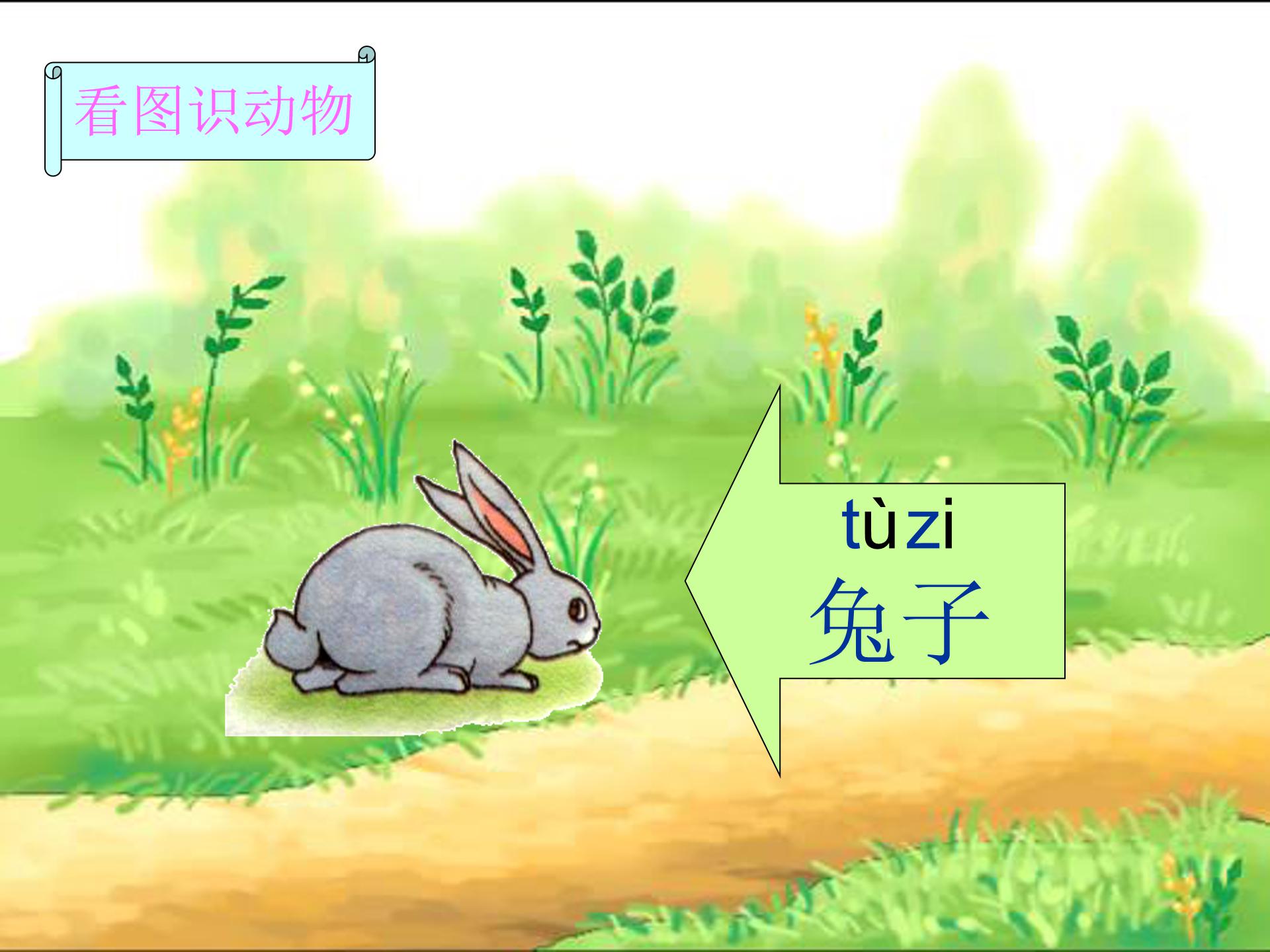 比尾巴公开课ppt模板