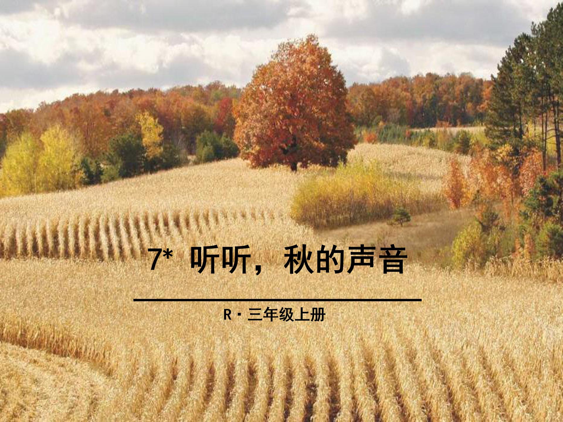 听听秋的声音ppt模板
