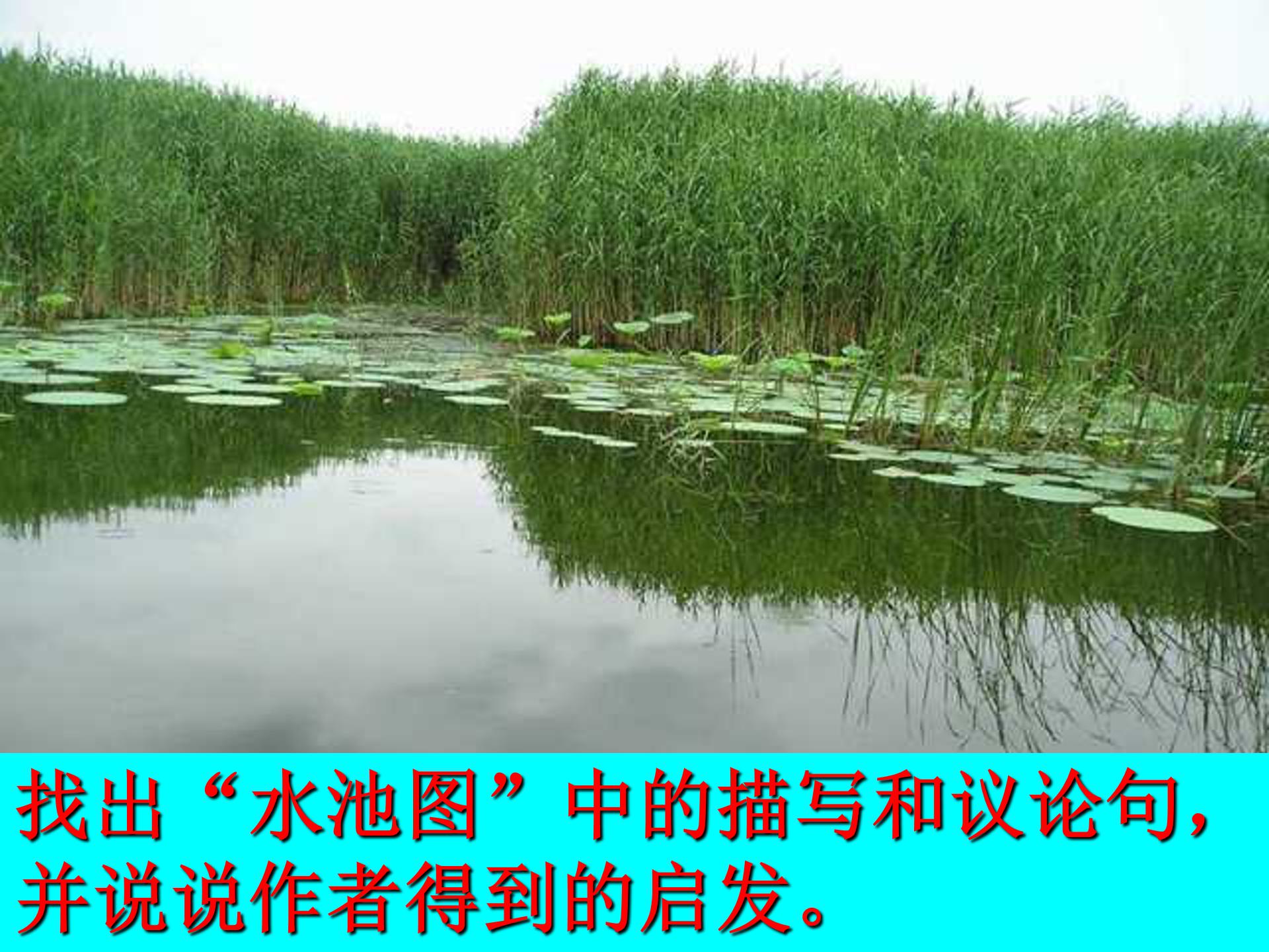 大自然的启示ppt模板