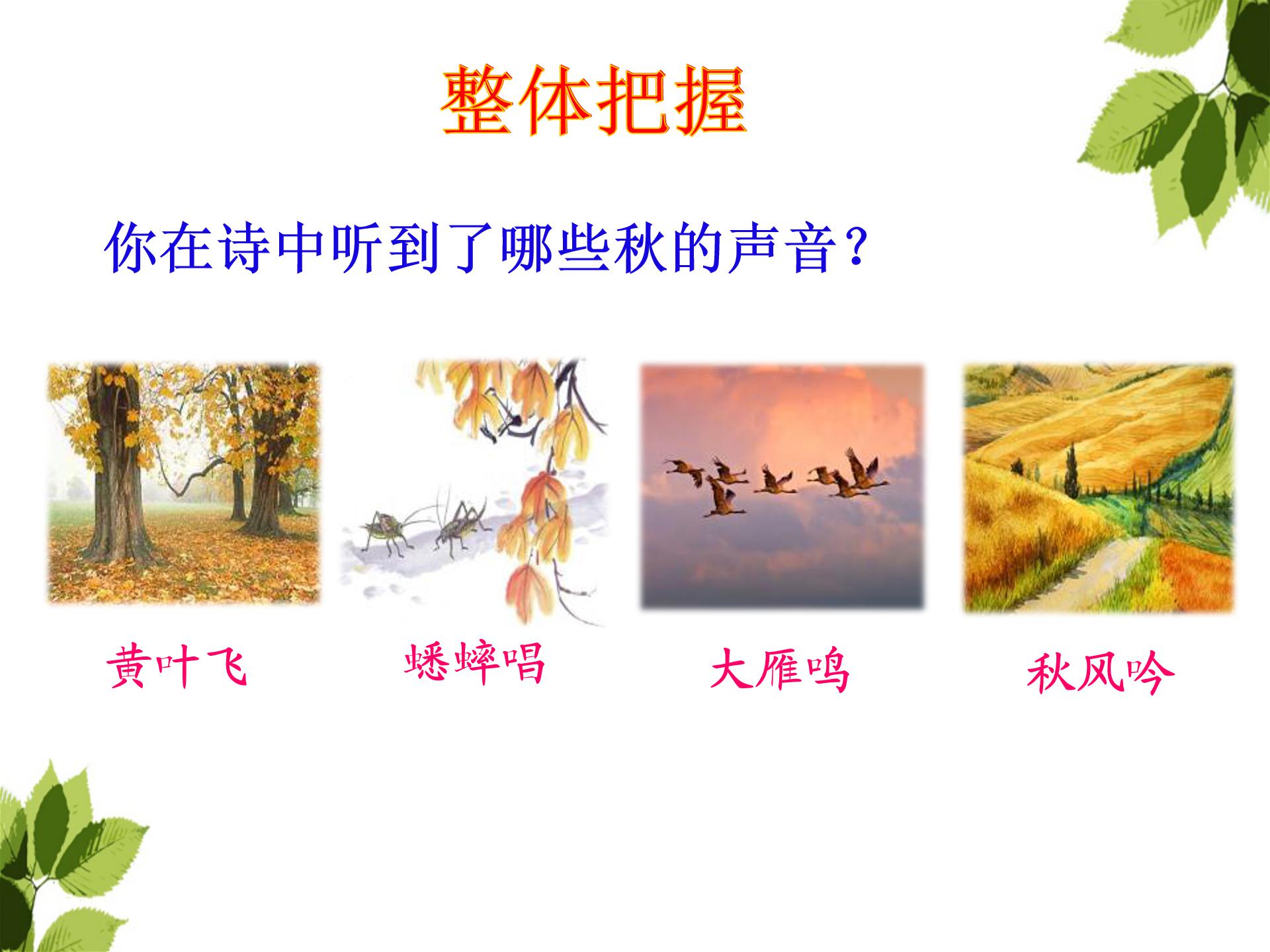 听听秋的声音ppt模板