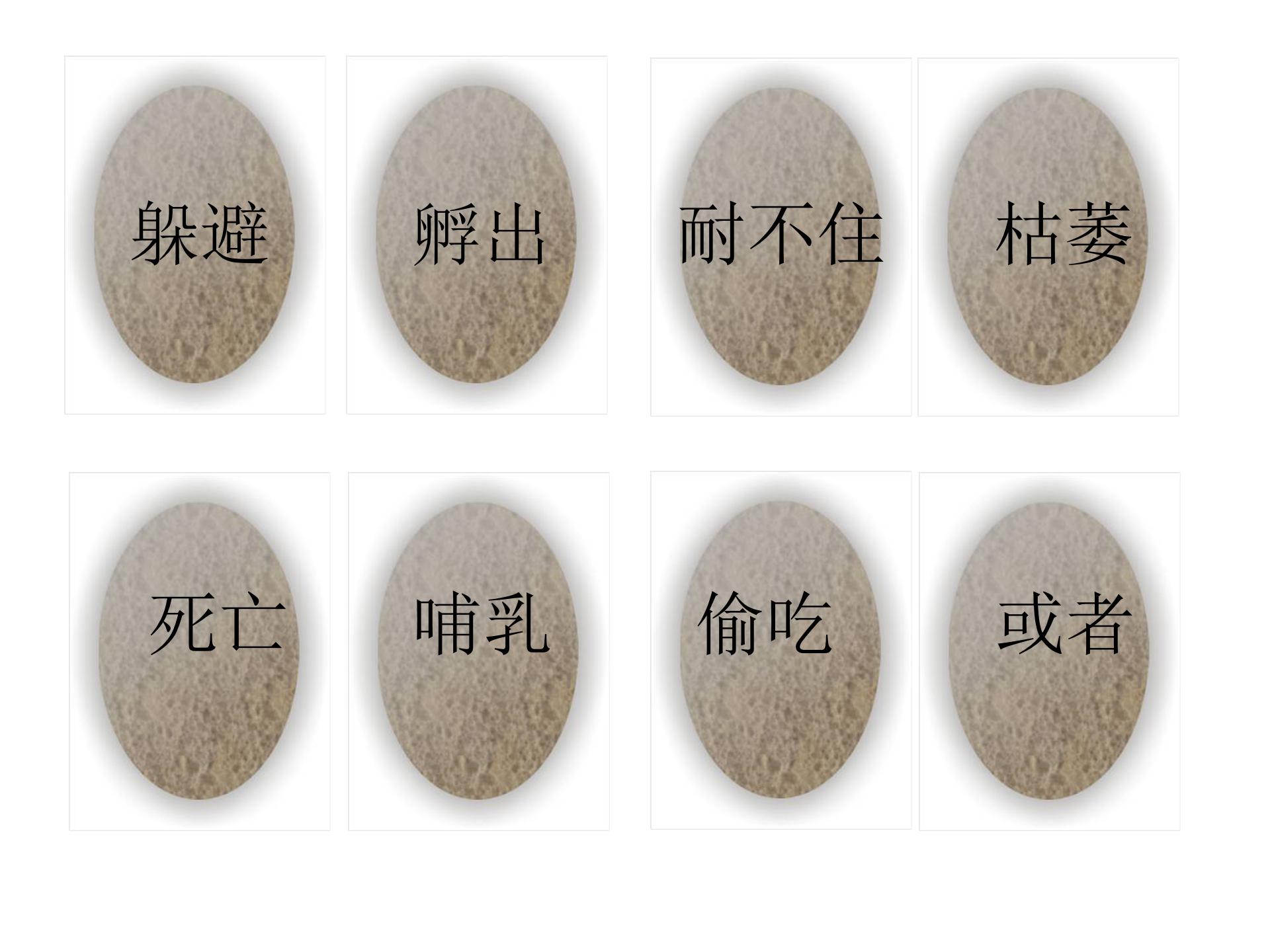 恐龙的灭绝ppt课件模板