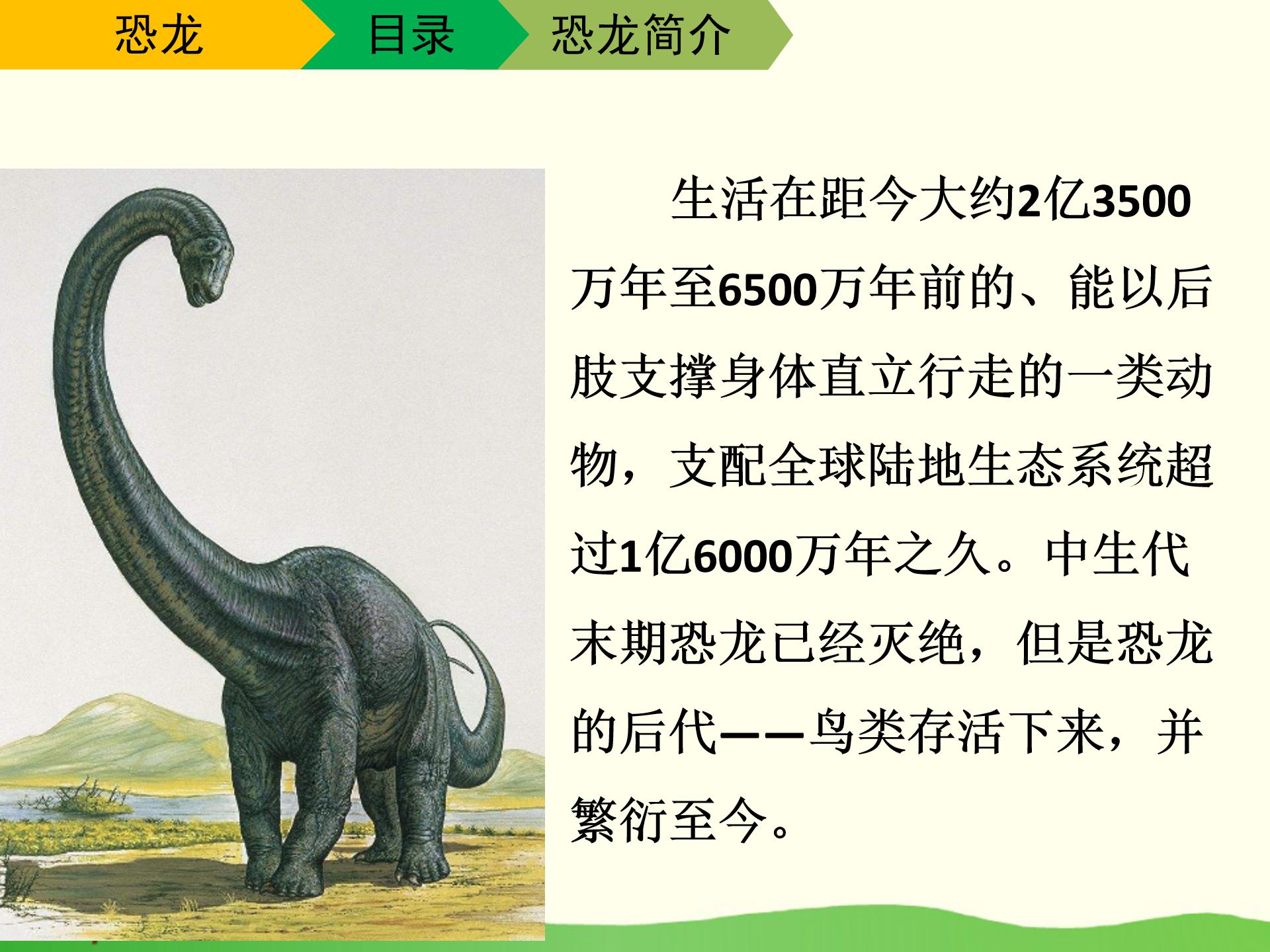 恐龙的介绍PPT模板