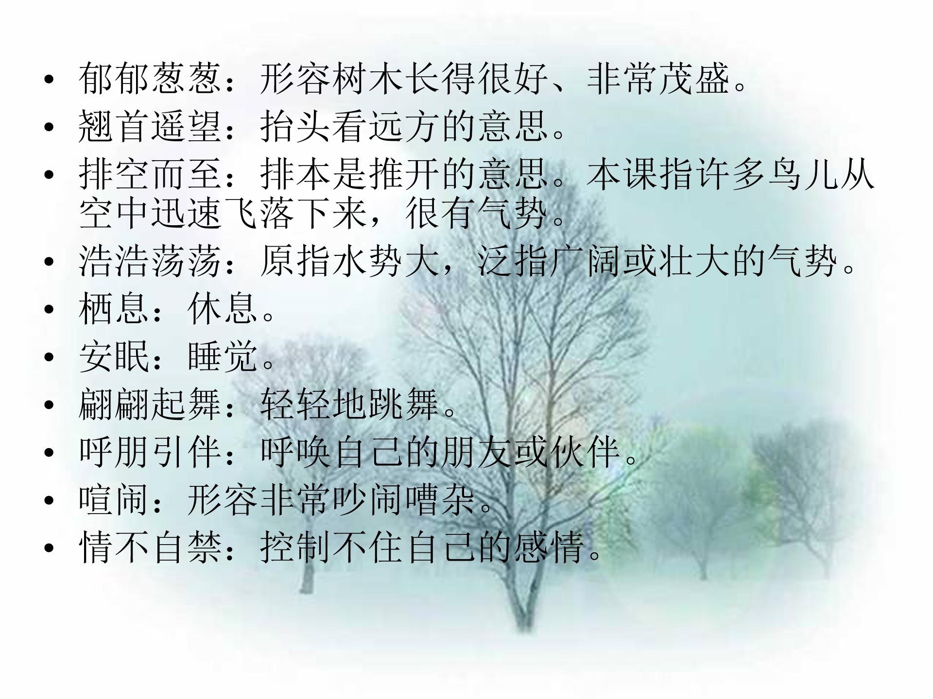 灰椋鸟ppt模板