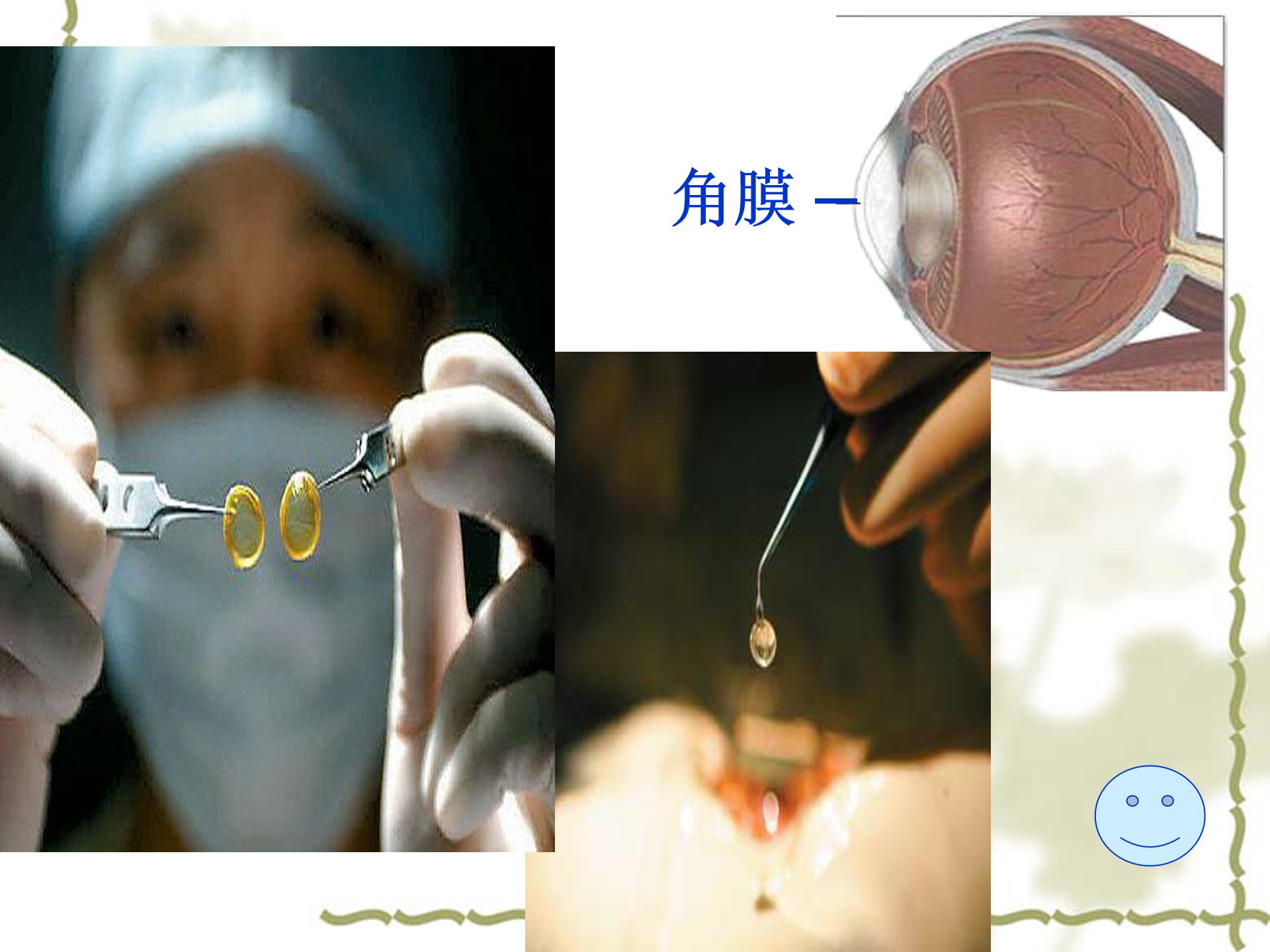 永生的眼睛ppt课件模板