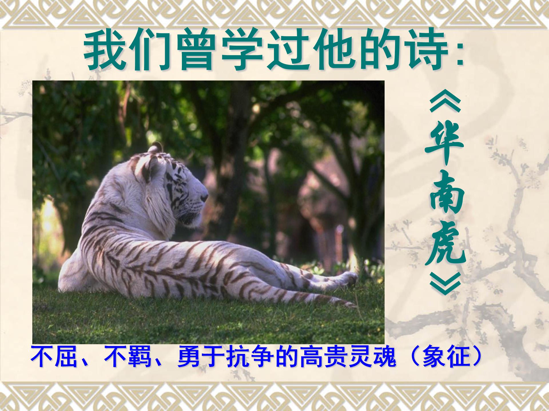 我的第一本书ppt模板