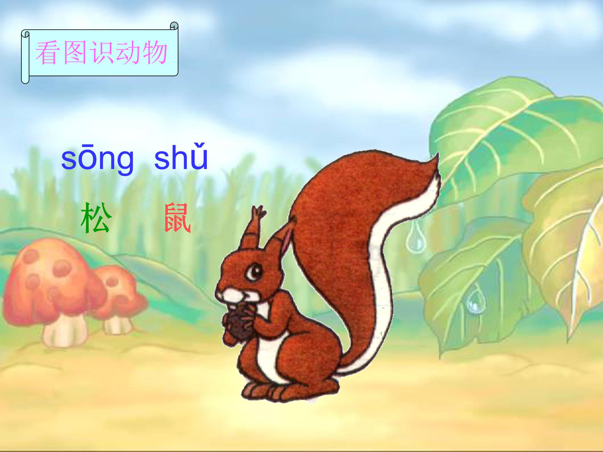 比尾巴公开课ppt模板