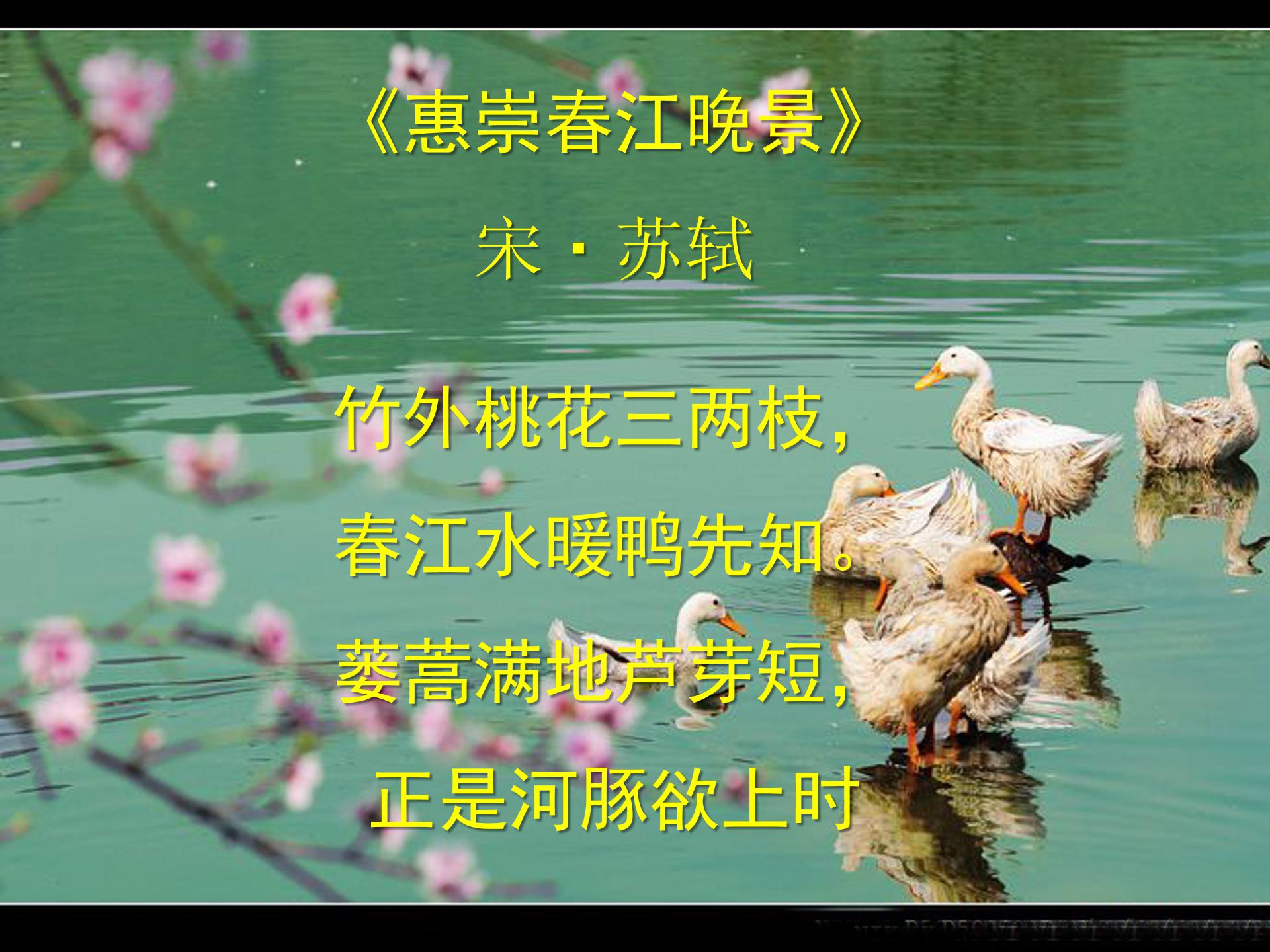 游园不值古诗ppt模板