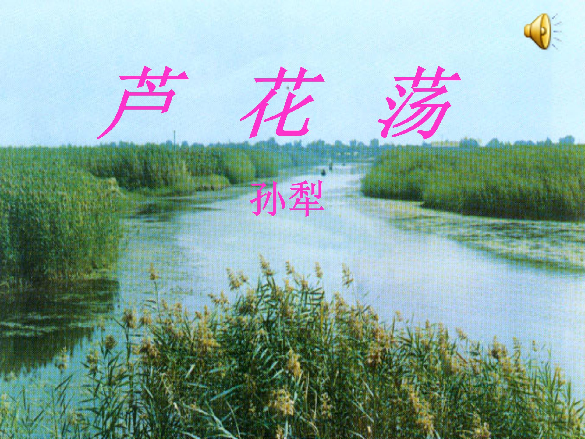 荷花淀ppt教案模板