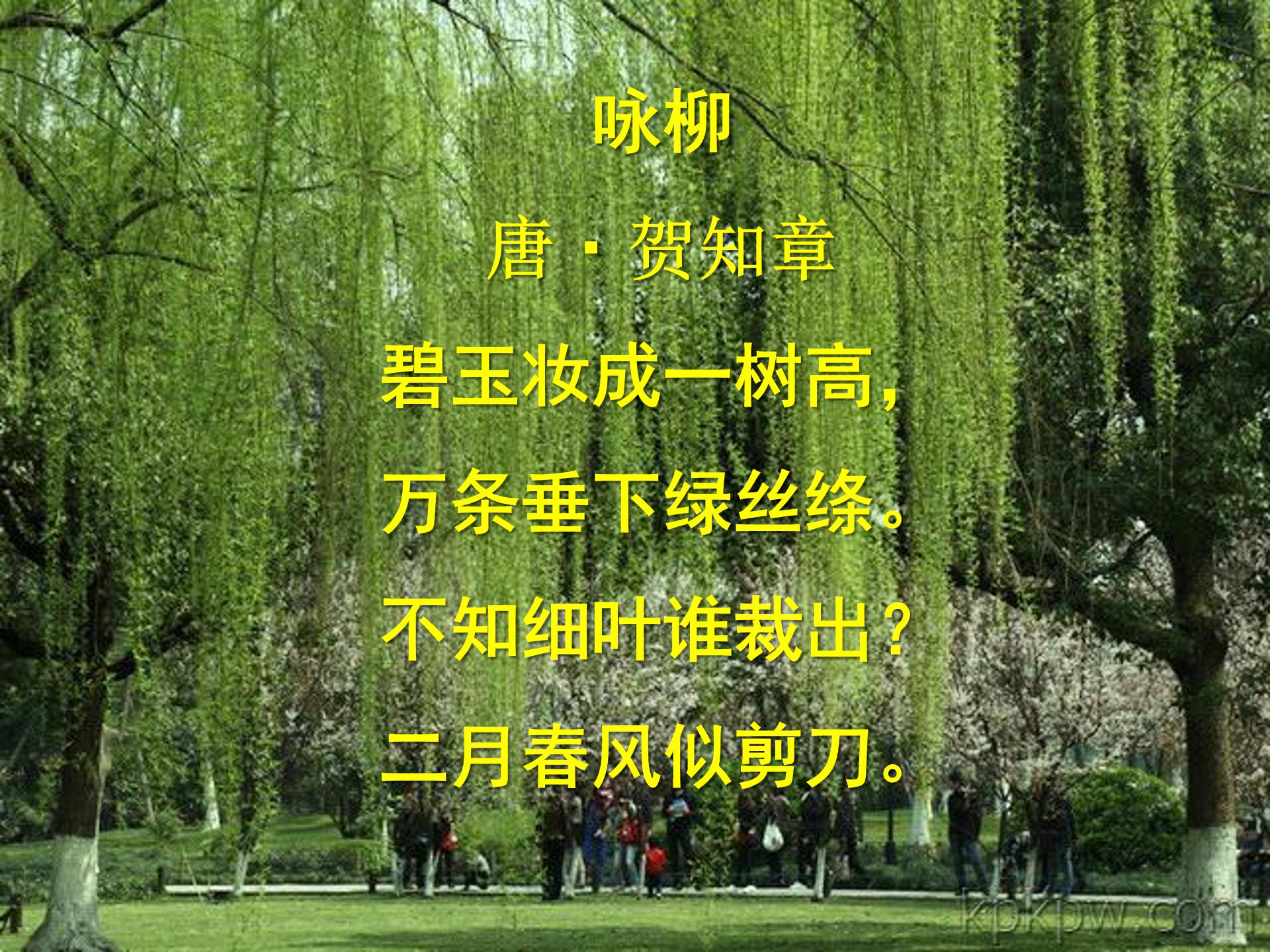 游园不值古诗ppt模板