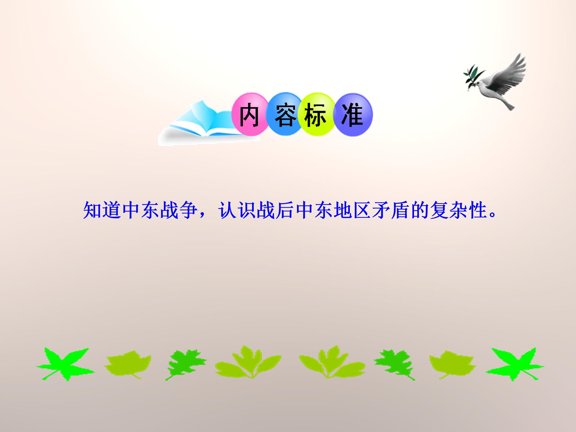 海湾战争ppt下载