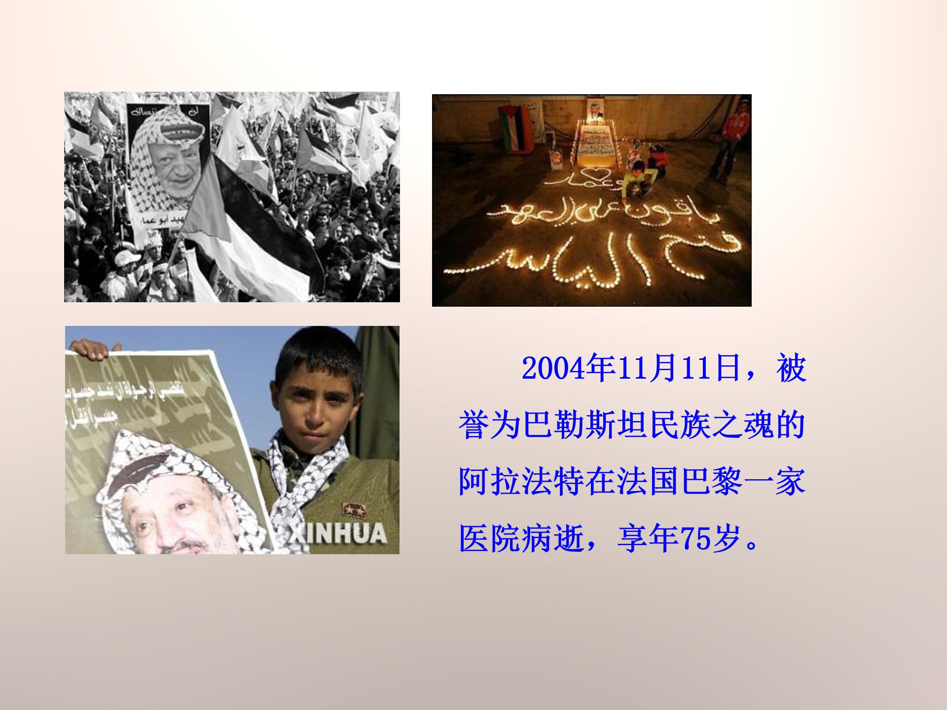 海湾战争ppt下载