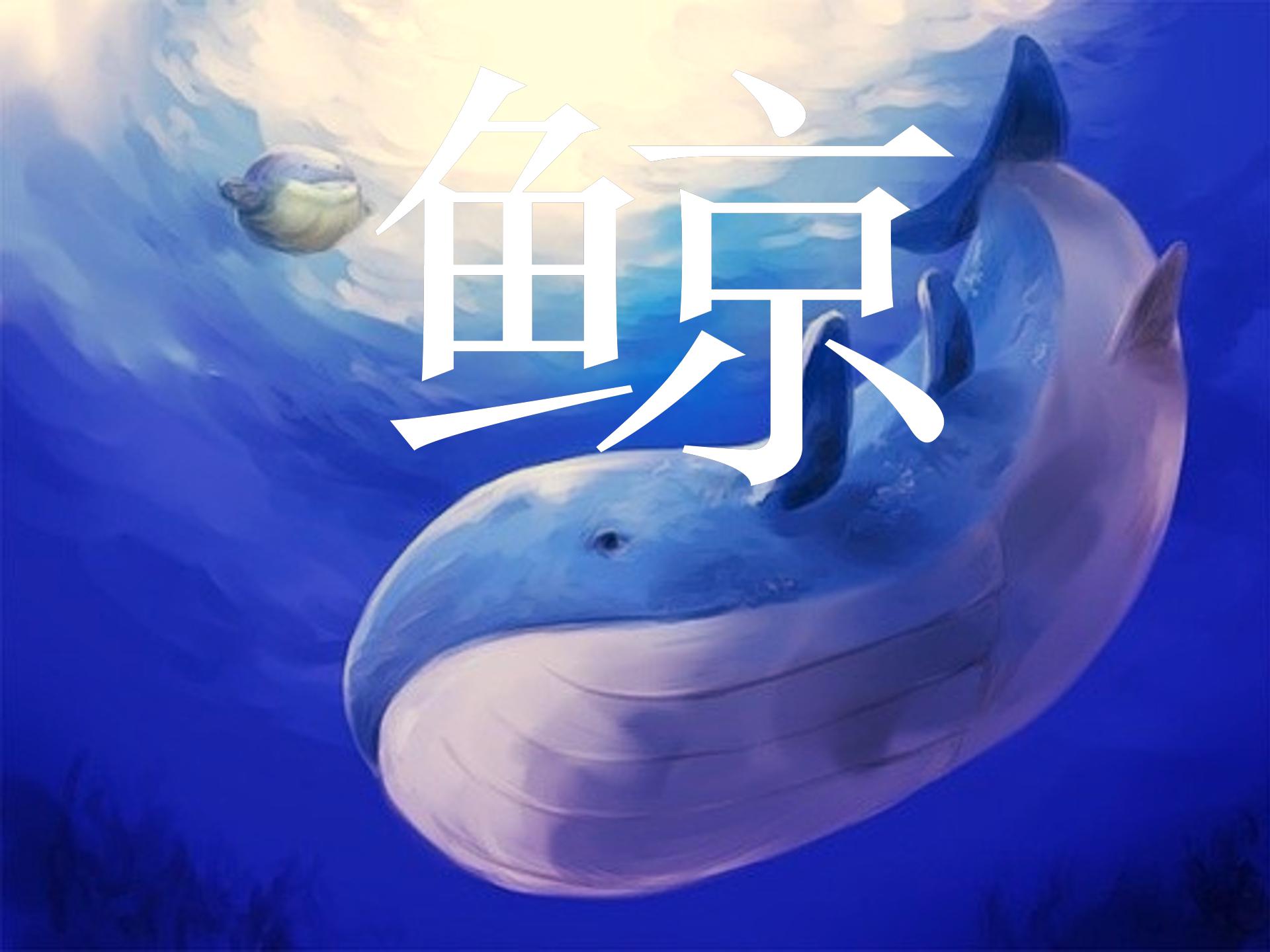 鲸ppt课件完美版