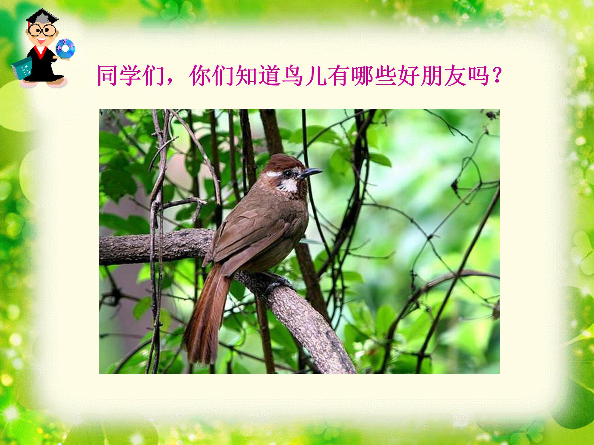 去年的树ppt课件模板